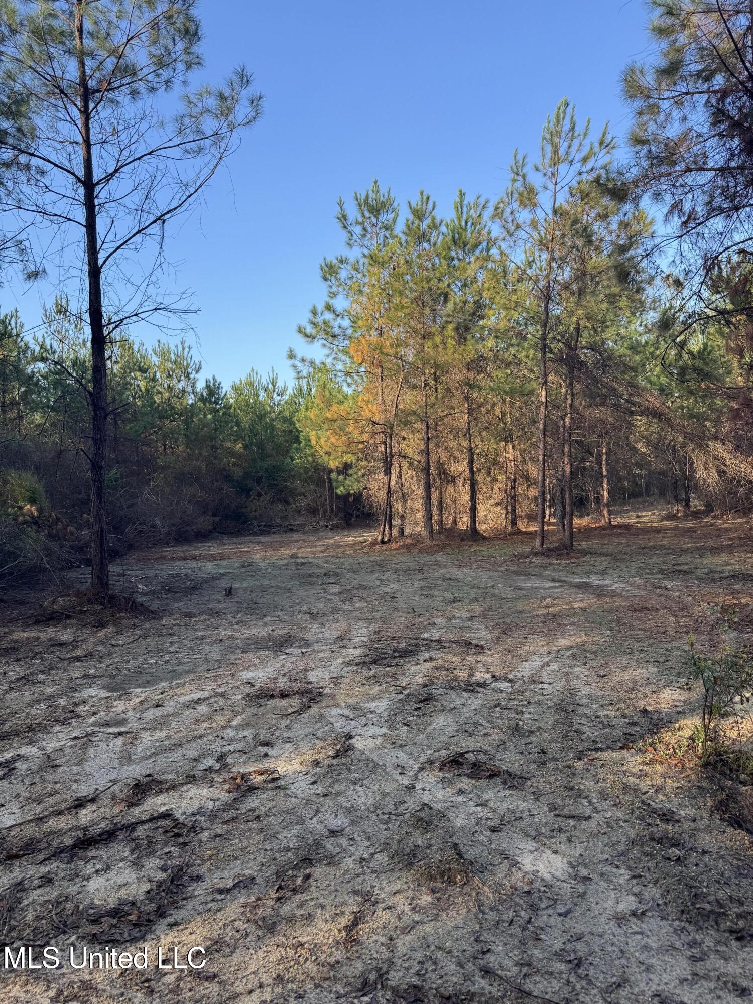 Pat Hickman Road Property Photo 8