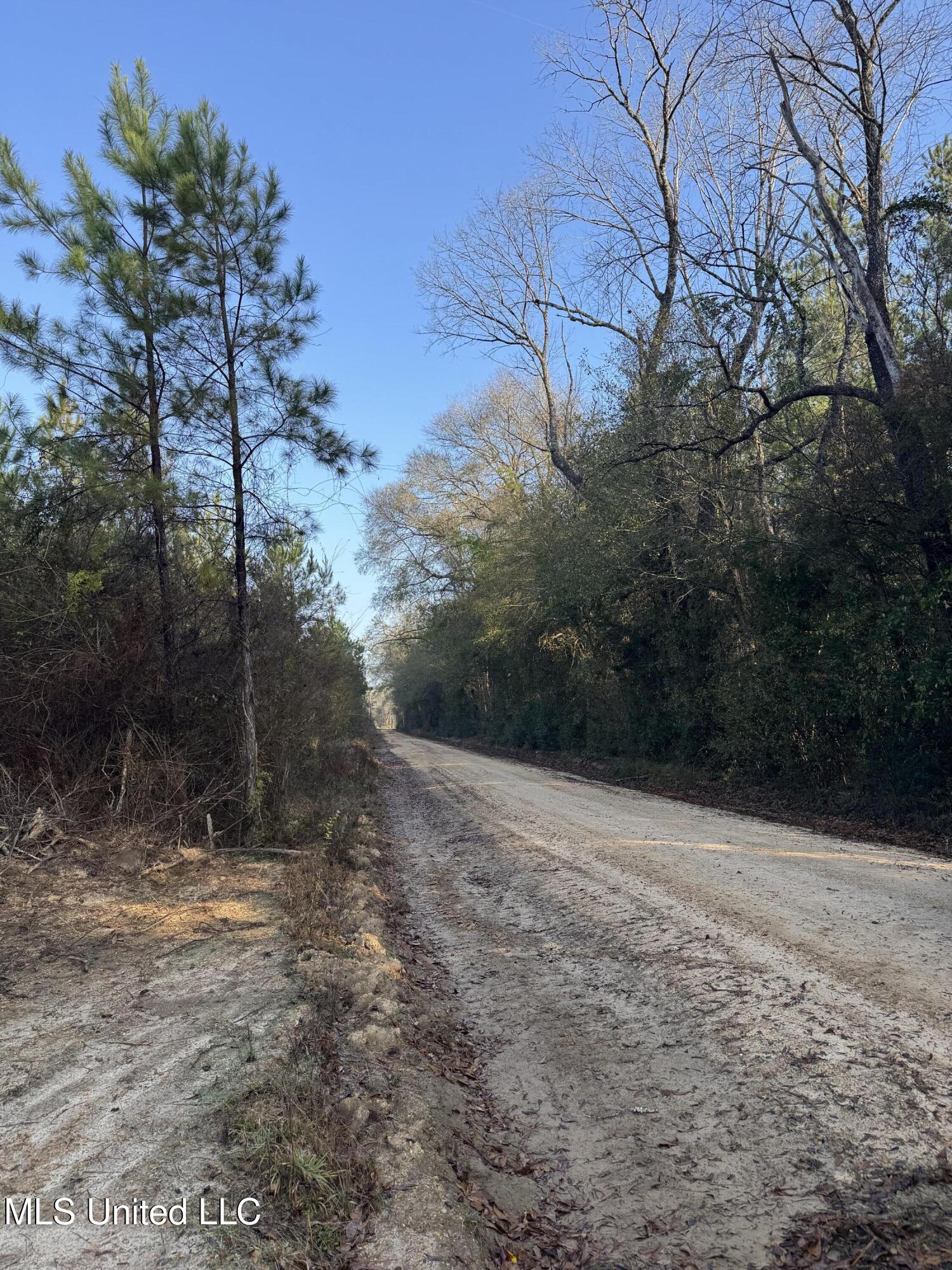 Pat Hickman Road Property Photo 10