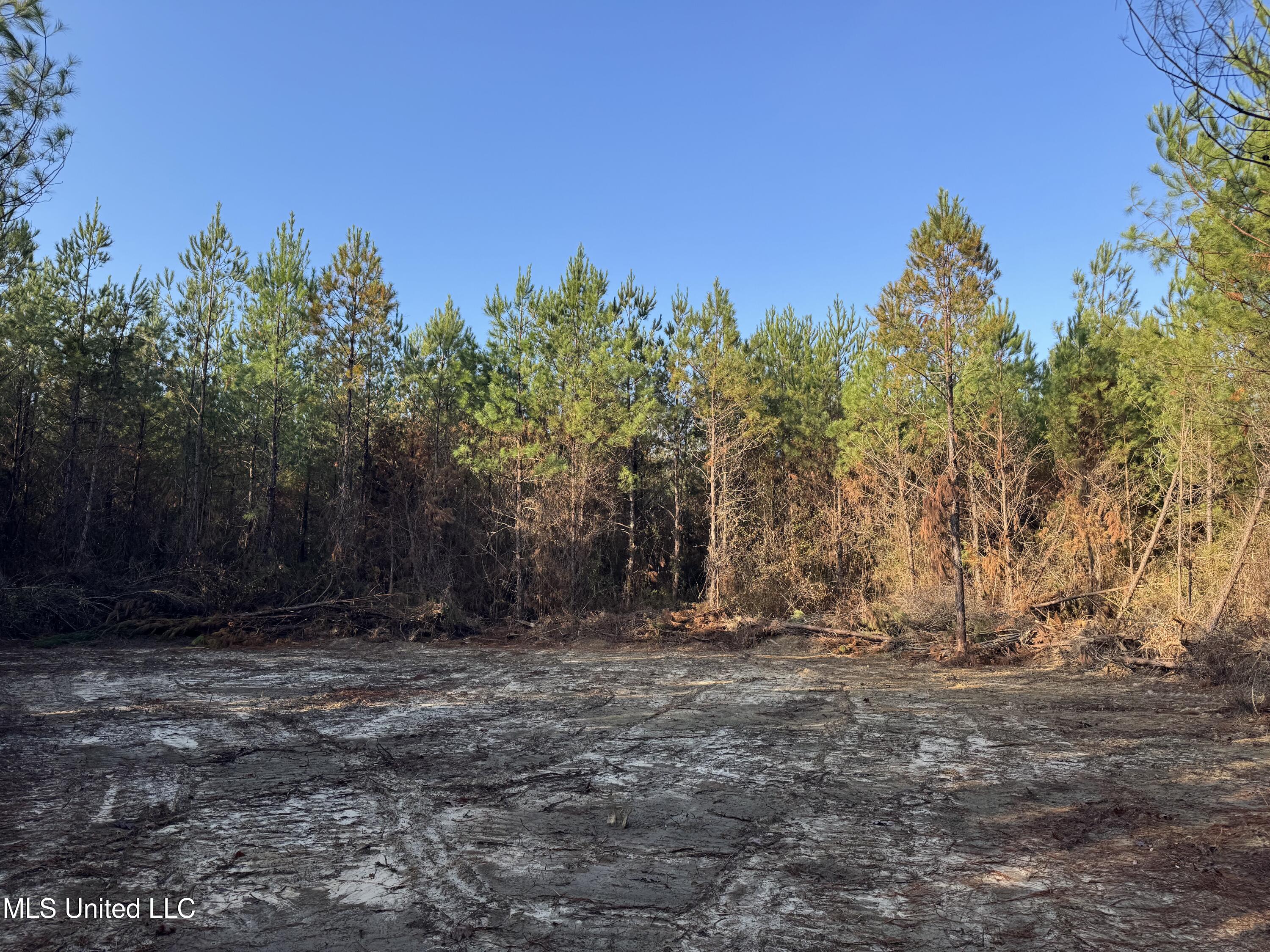 Pat Hickman Road Property Photo 11