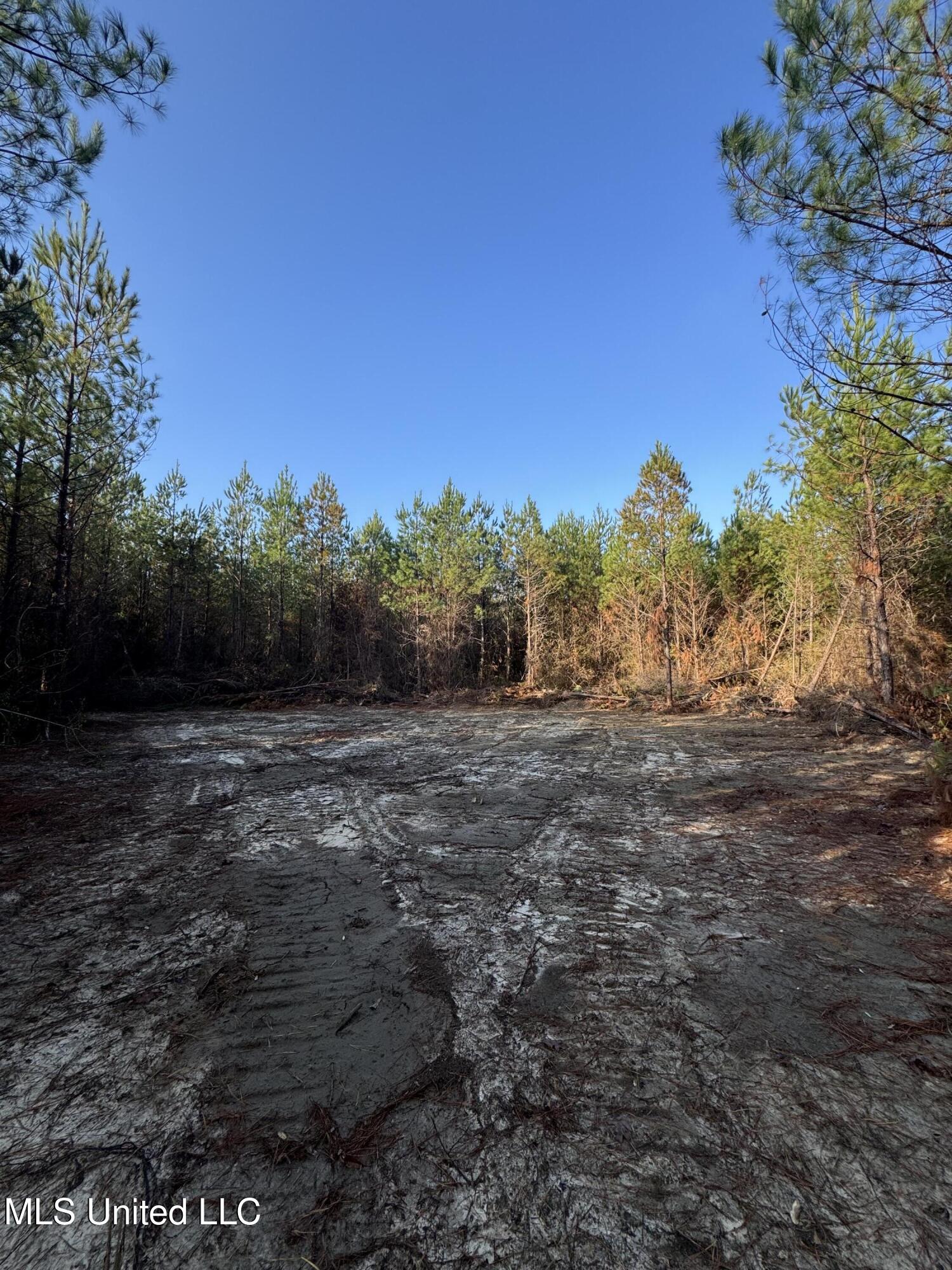 Pat Hickman Road Property Photo 12