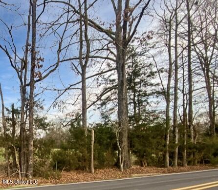 1178 Stump Ridge Road Property Photo 1