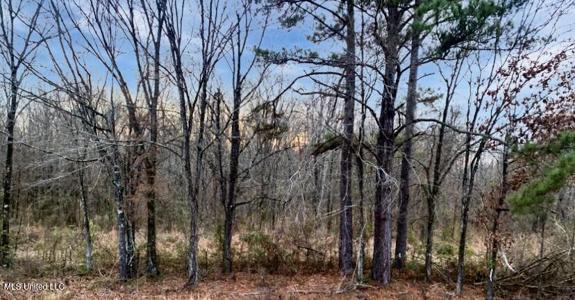 1178 Stump Ridge Road Property Photo 3