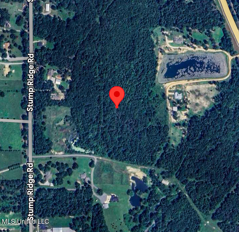 1178 Stump Ridge Road Property Photo 4
