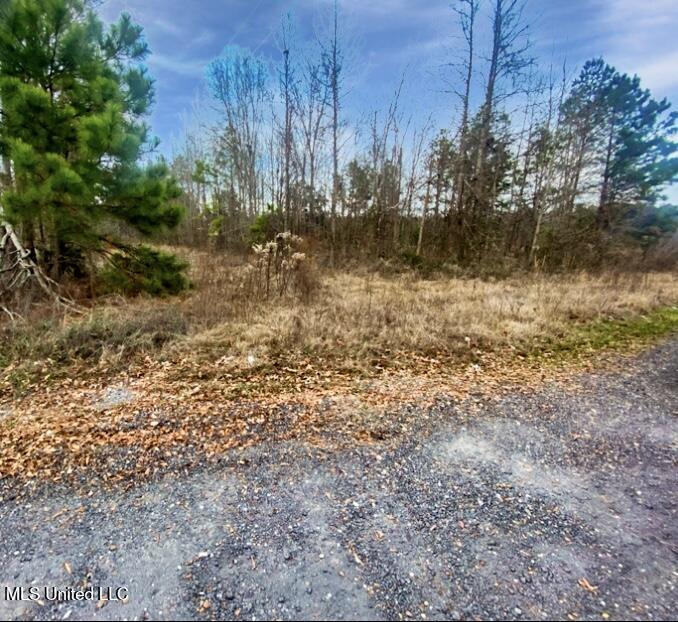 1178 Stump Ridge Road Property Photo 5