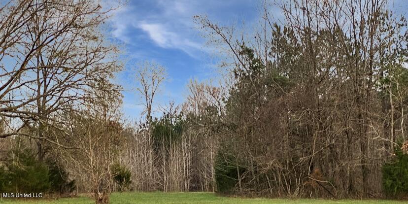 1178 Stump Ridge Road Property Photo 6