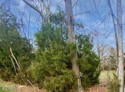 1178 Stump Ridge Road Property Photo 8