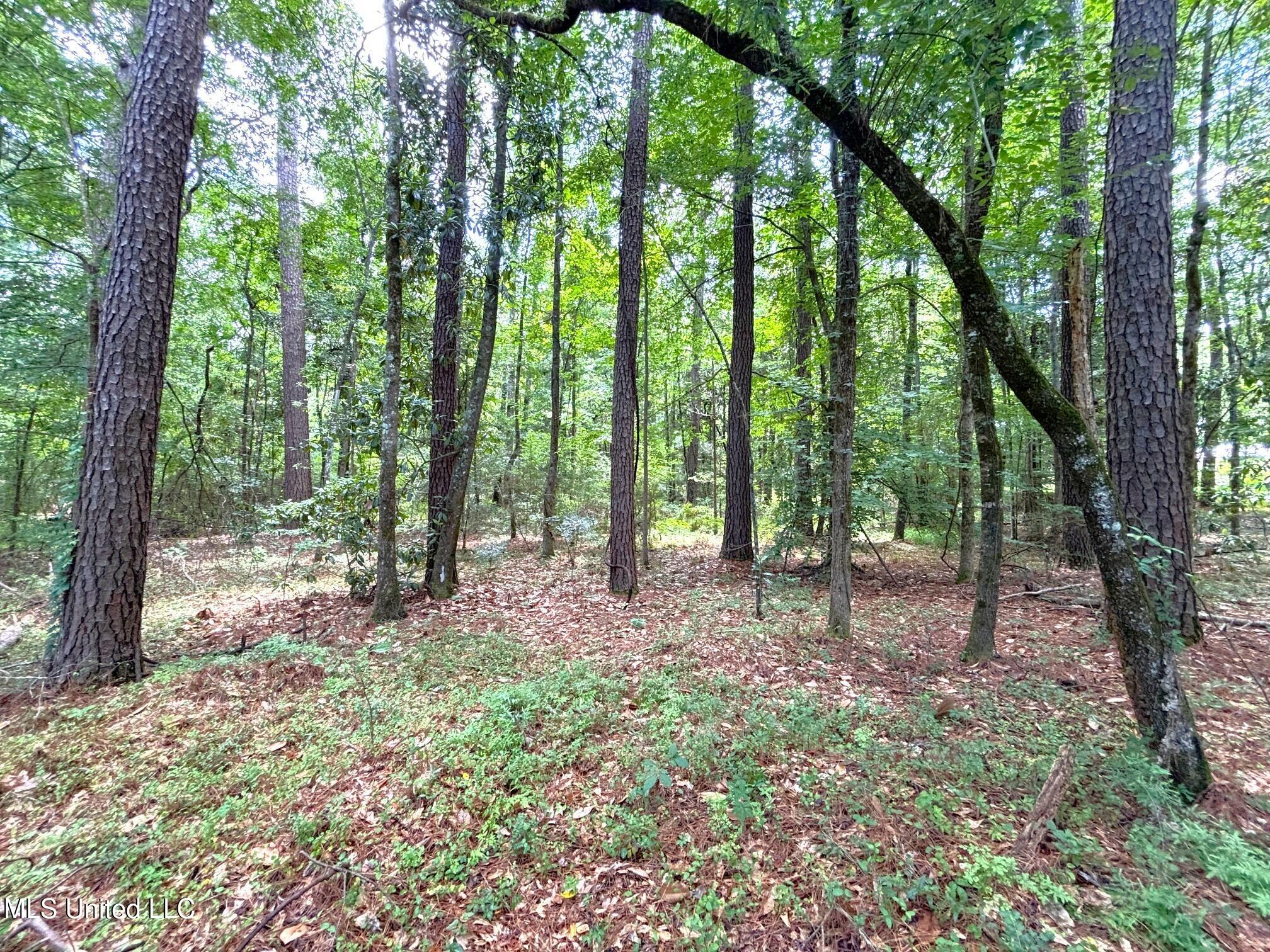 Se Freeman Road Property Photo 4