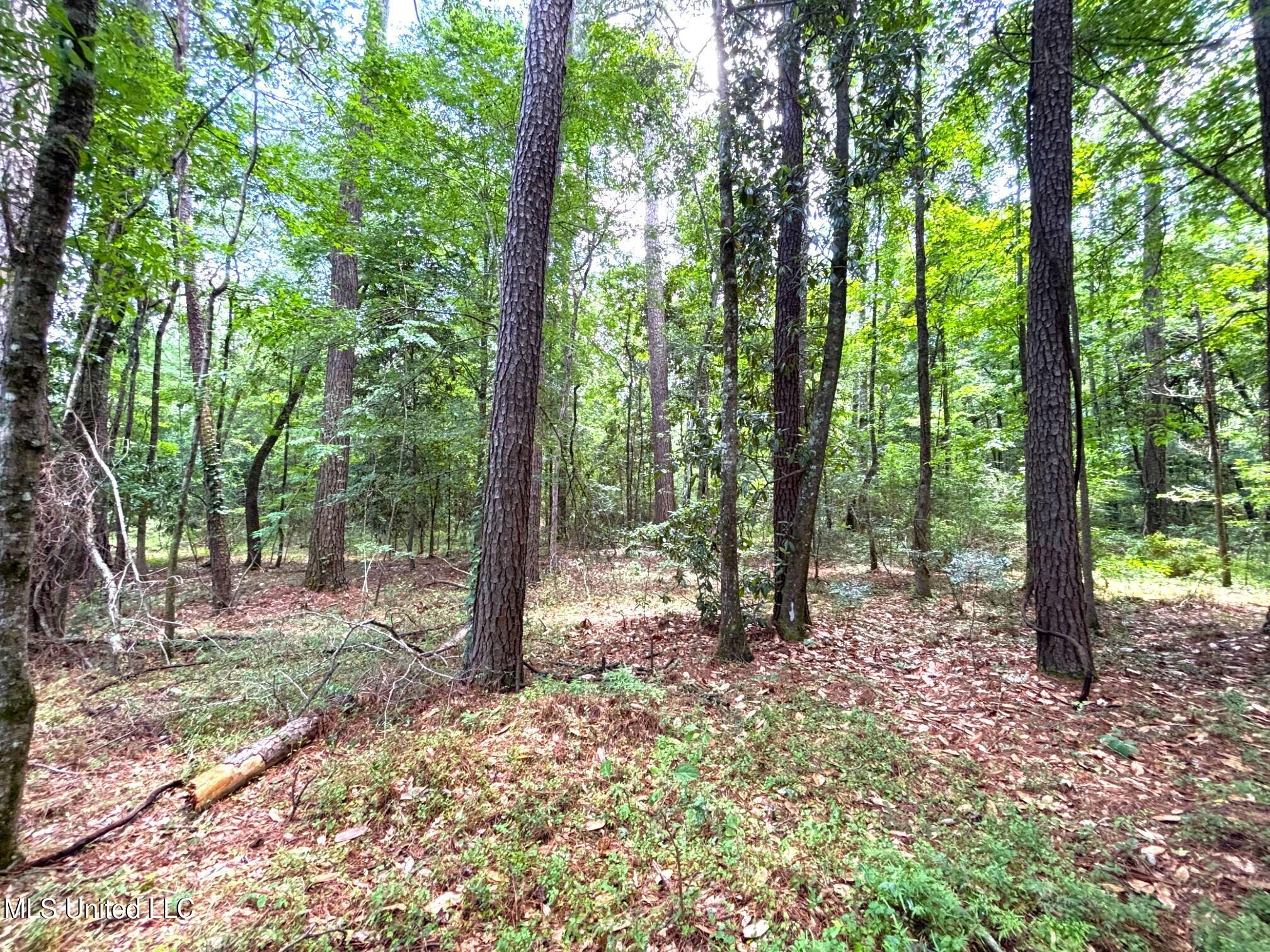 Se Freeman Road Property Photo 5