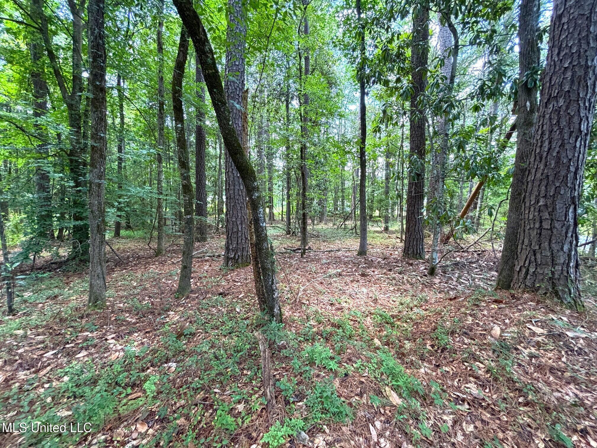 Se Freeman Road Property Photo 6