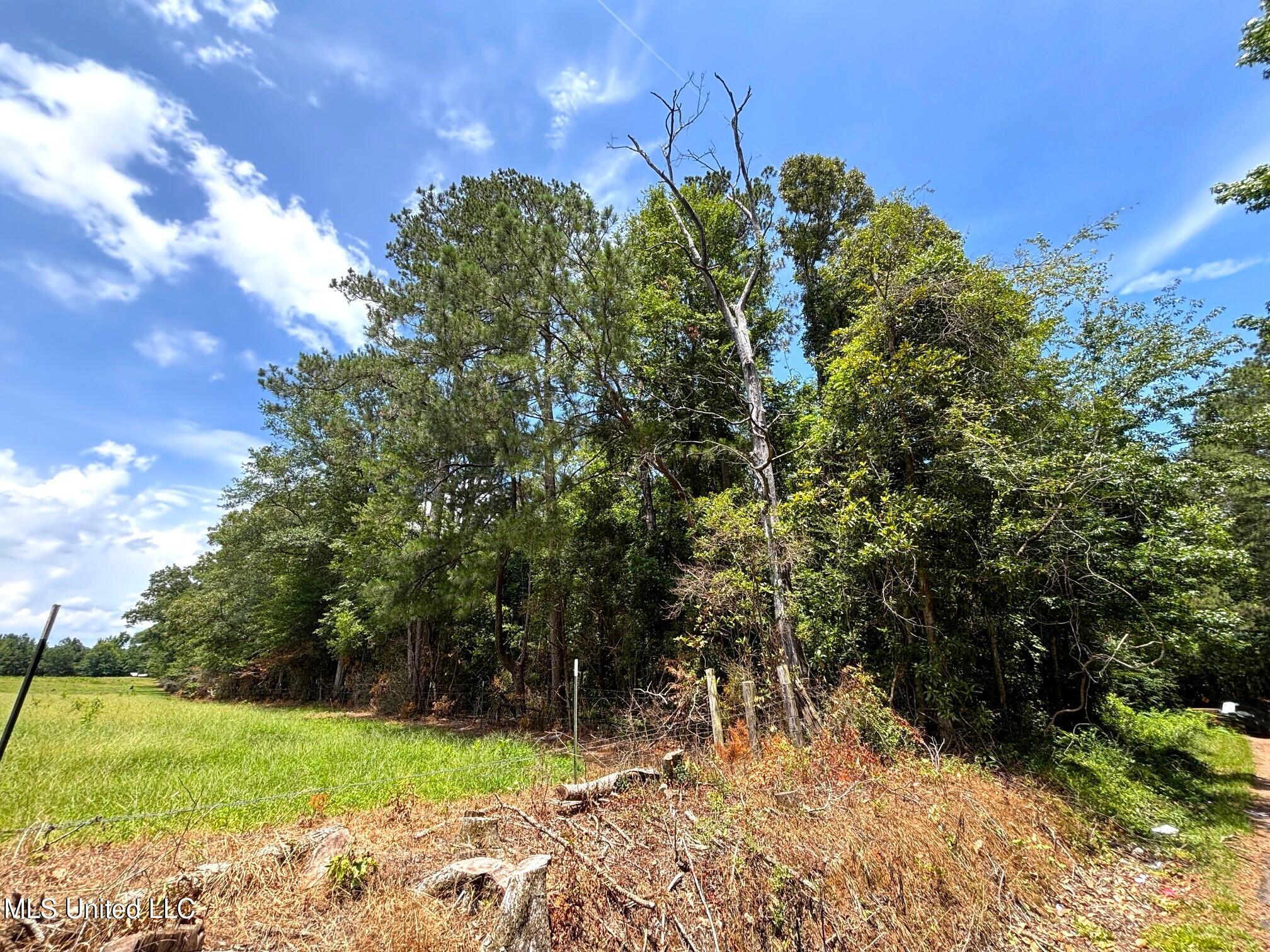 Se Freeman Road Property Photo 8