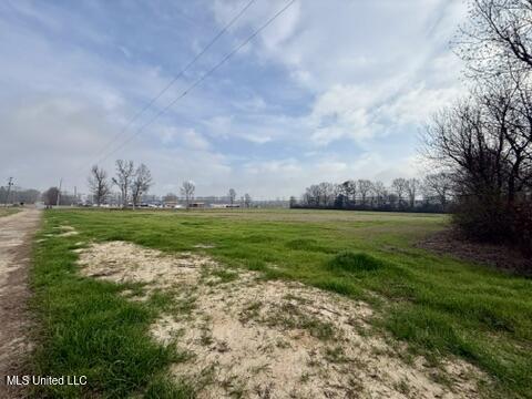 Spruce Street Property Photo 3