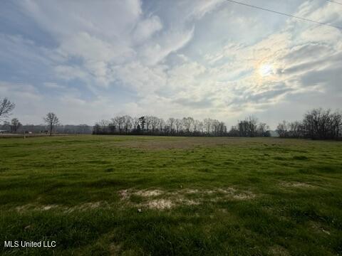 Spruce Street Property Photo 4