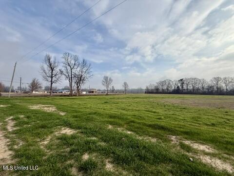 Spruce Street Property Photo 5