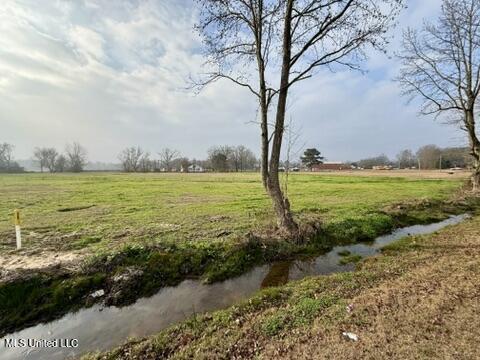 Spruce Street Property Photo 8