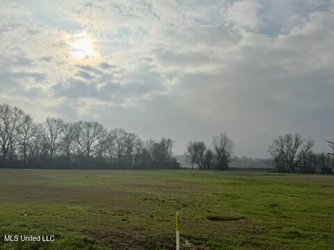 Spruce Street Property Photo 9