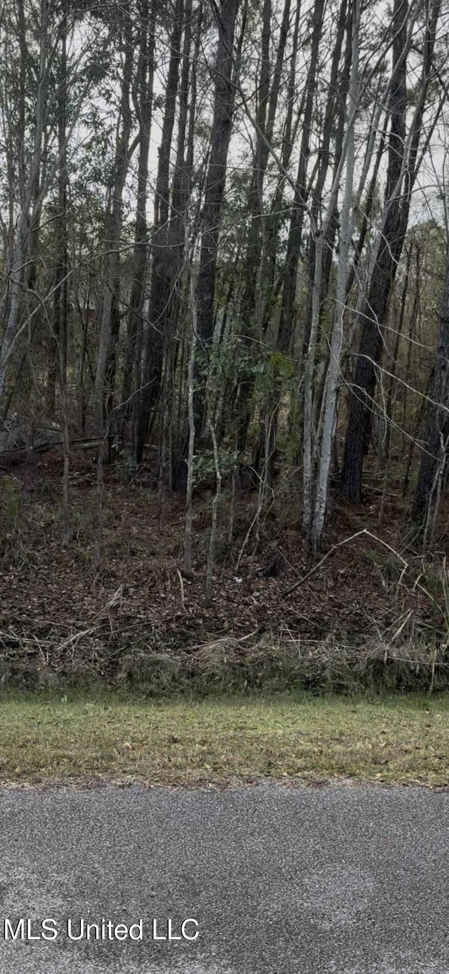 Vacation Lane Property Photo 2