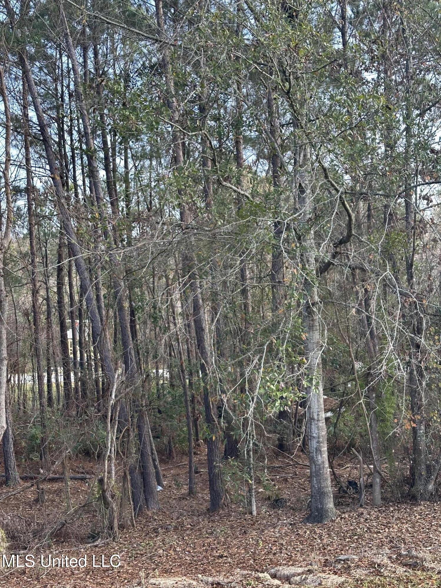 Vacation Lane Property Photo 3