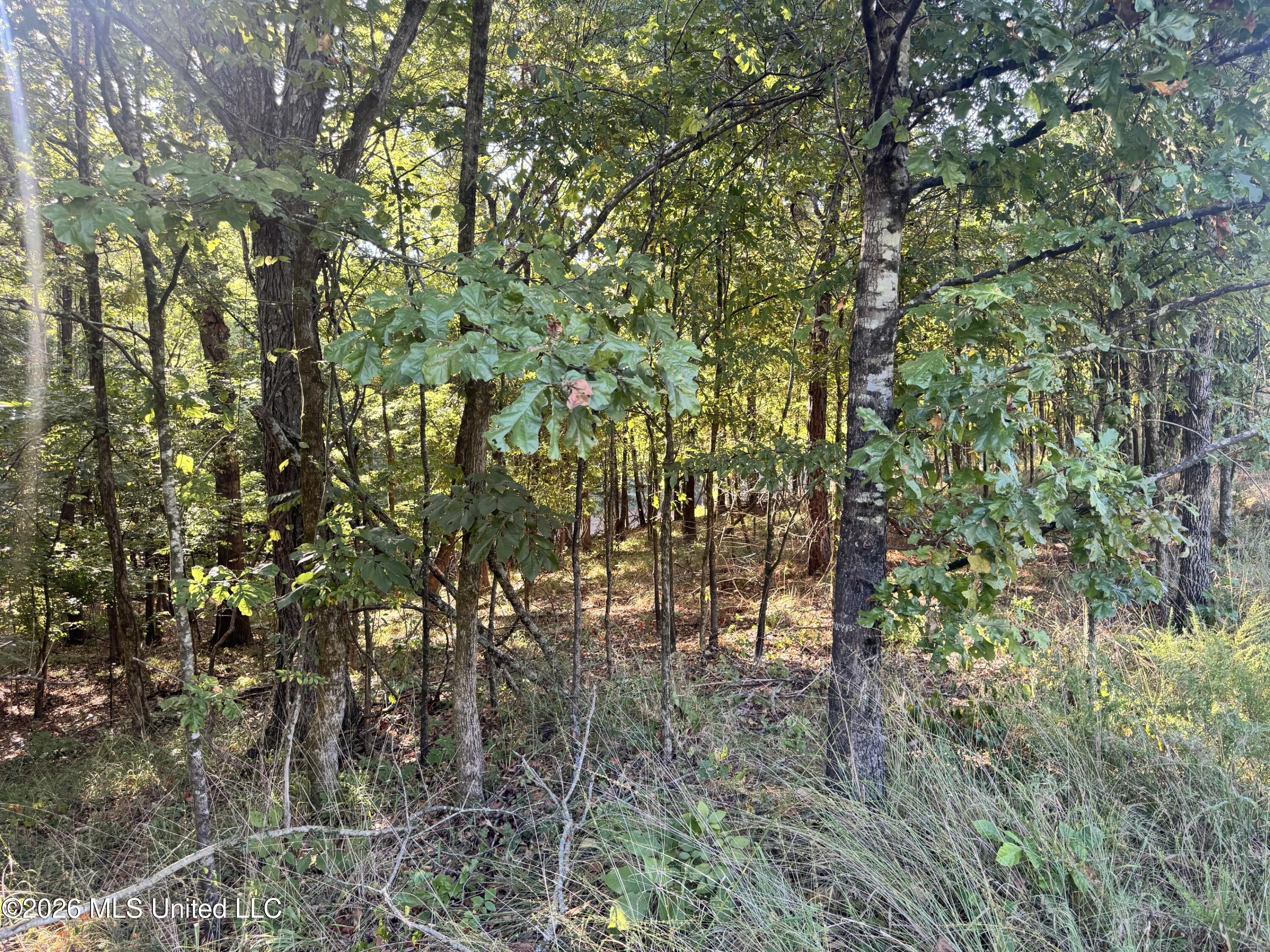 0 S Red Banks Road Property Photo 2