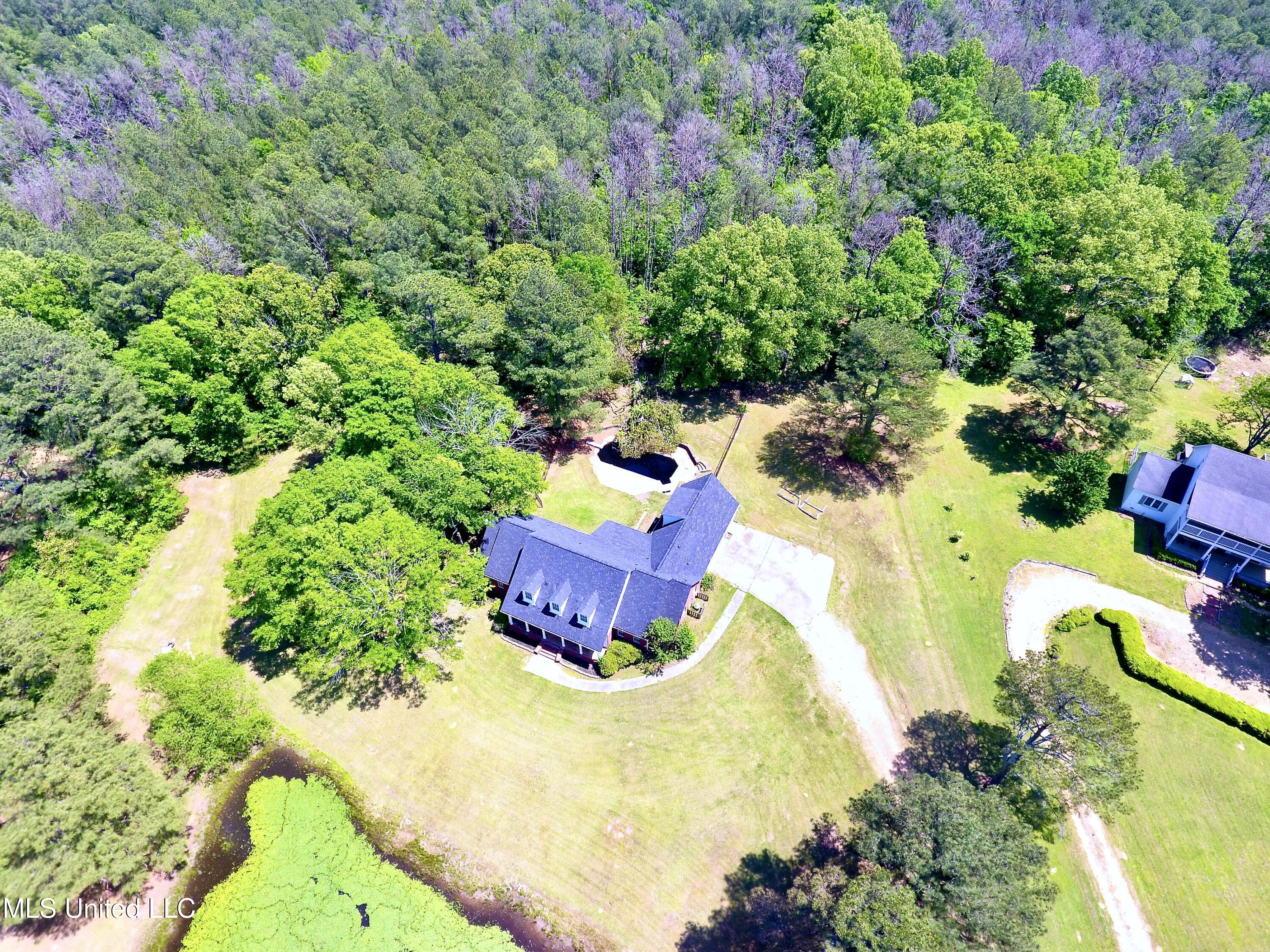 120 Timber Green Lane Property Photo 6