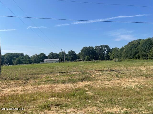 1611 Cane Creek Drive Property Photo 2