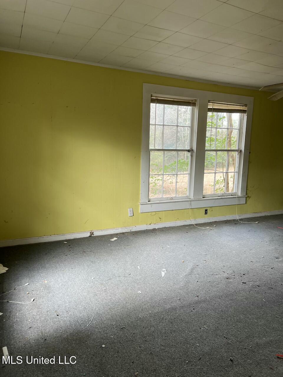 417 Boulevard Street Property Photo 38