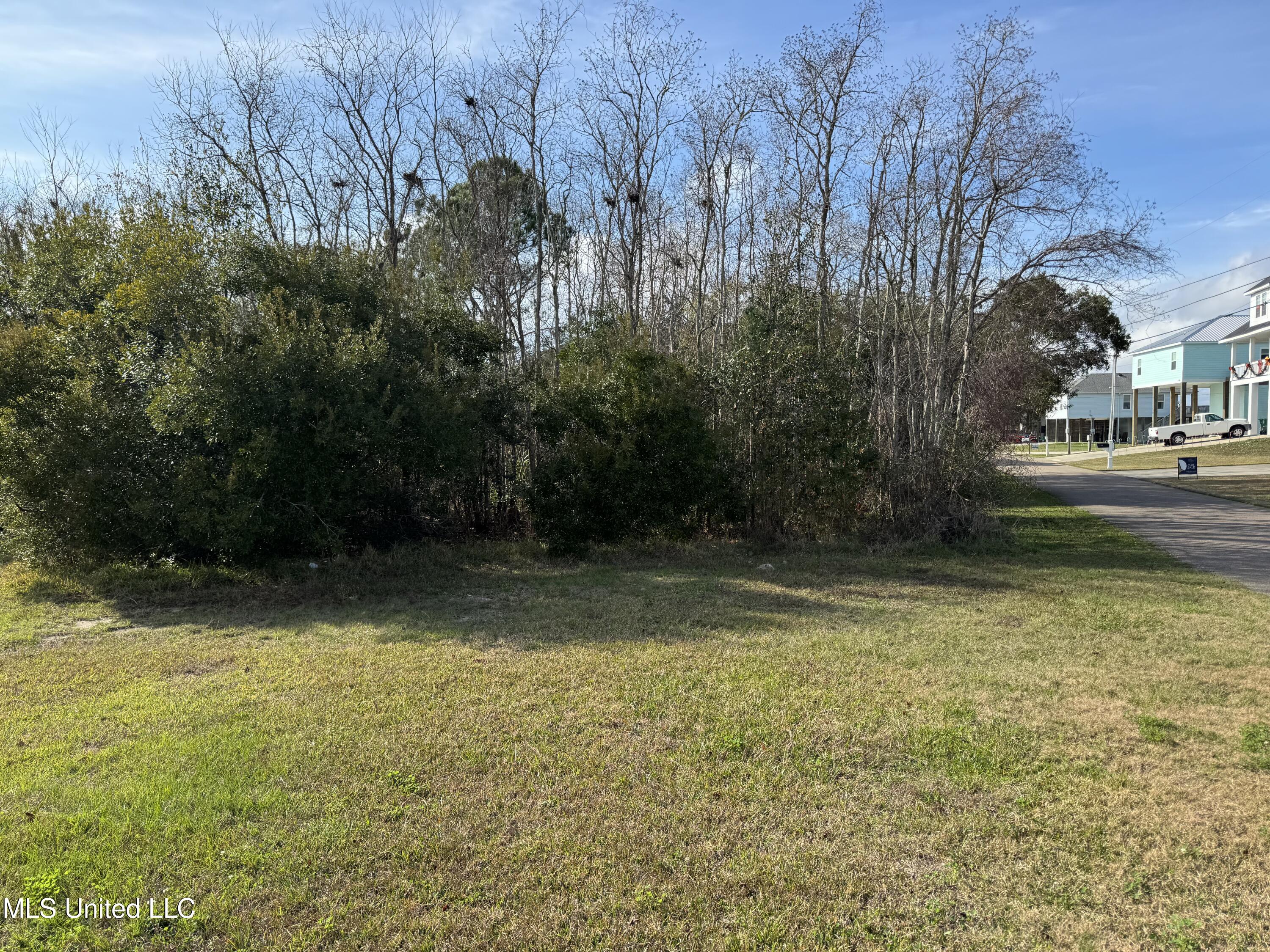 125 Edith Drive Property Photo 4