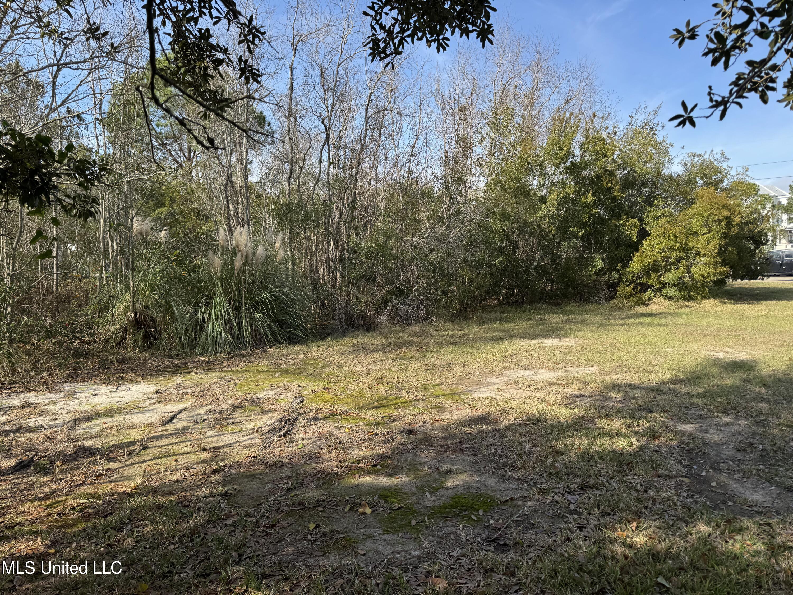 125 Edith Drive Property Photo 9