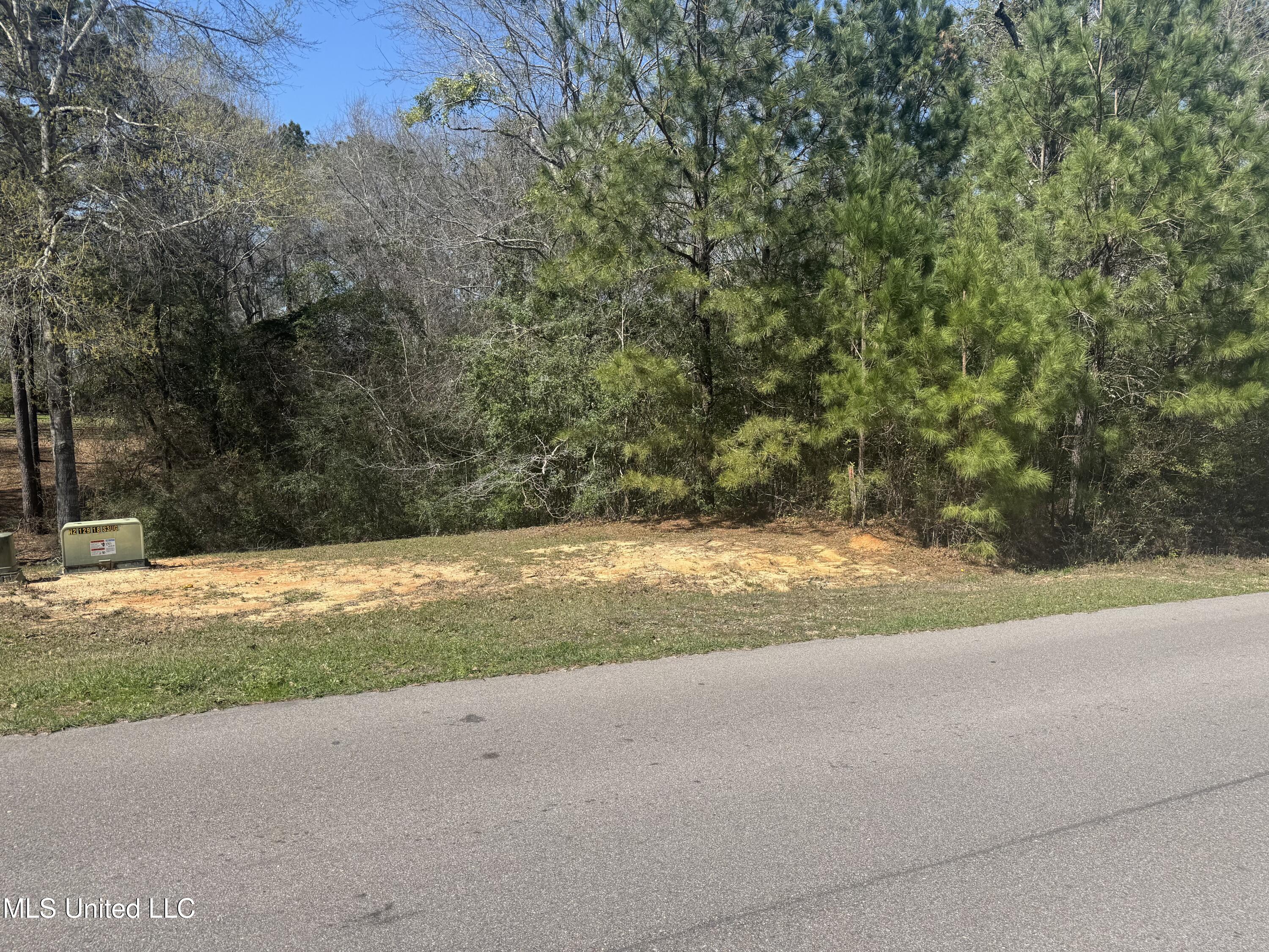 0 Cedarwood Drive Property Photo 4