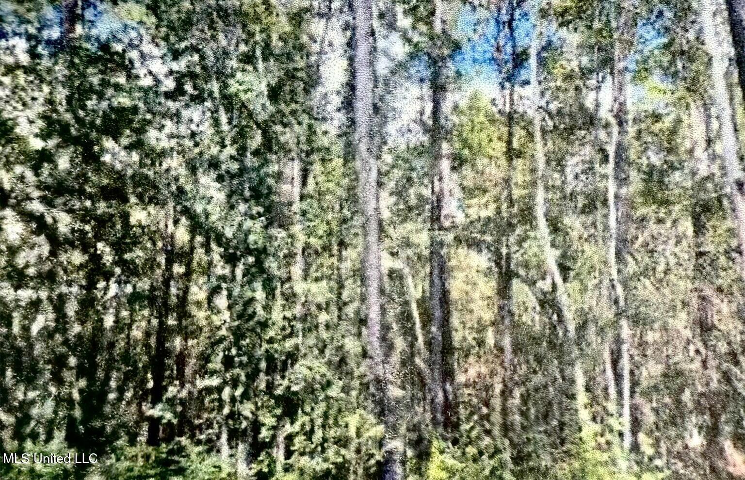 Jeff Road Property Photo 1