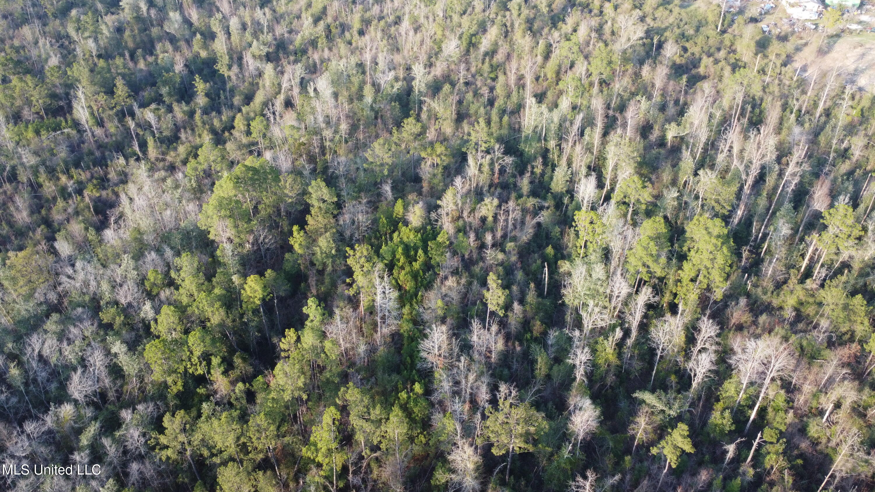 S County Line Road Property Photo 1