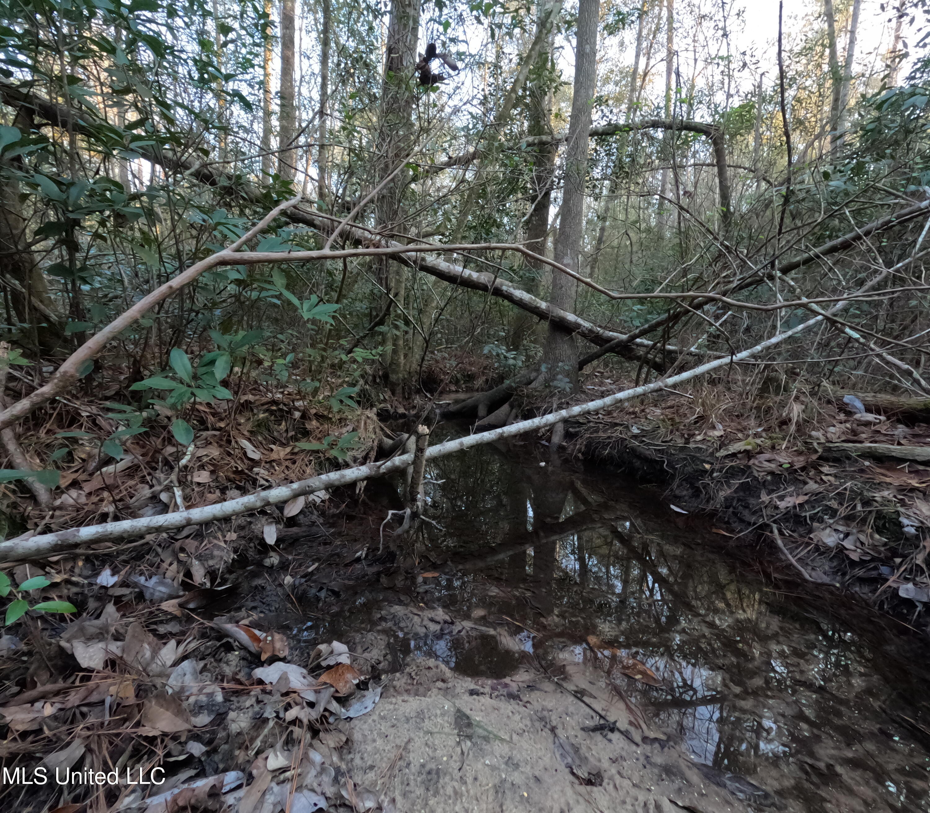 S County Line Road Property Photo 2