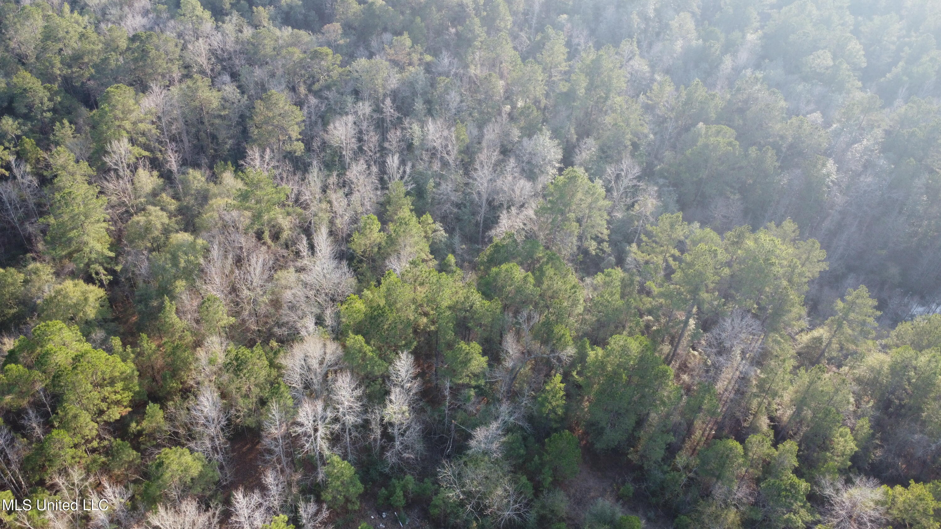 S County Line Road Property Photo 3