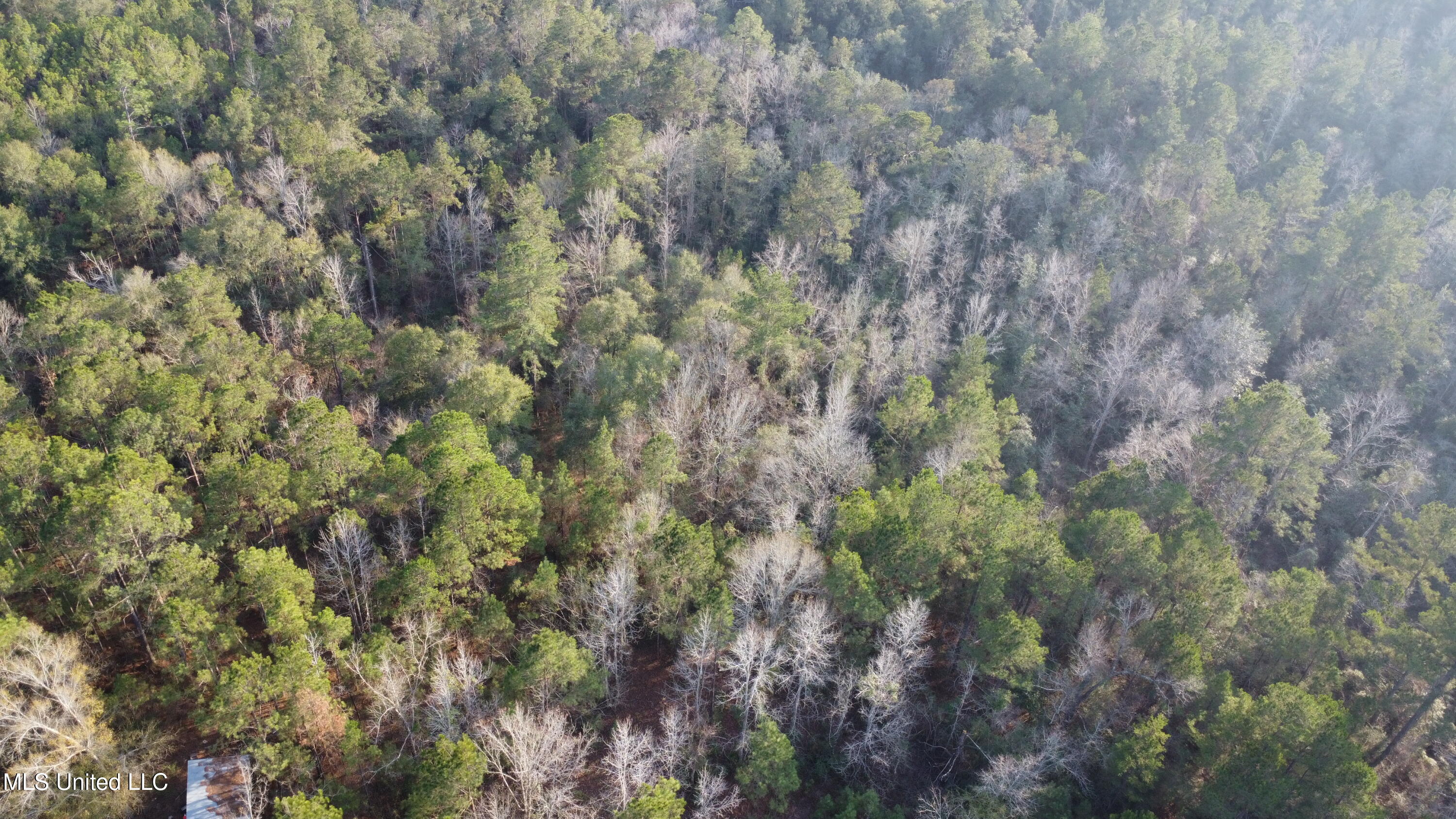 S County Line Road Property Photo 4