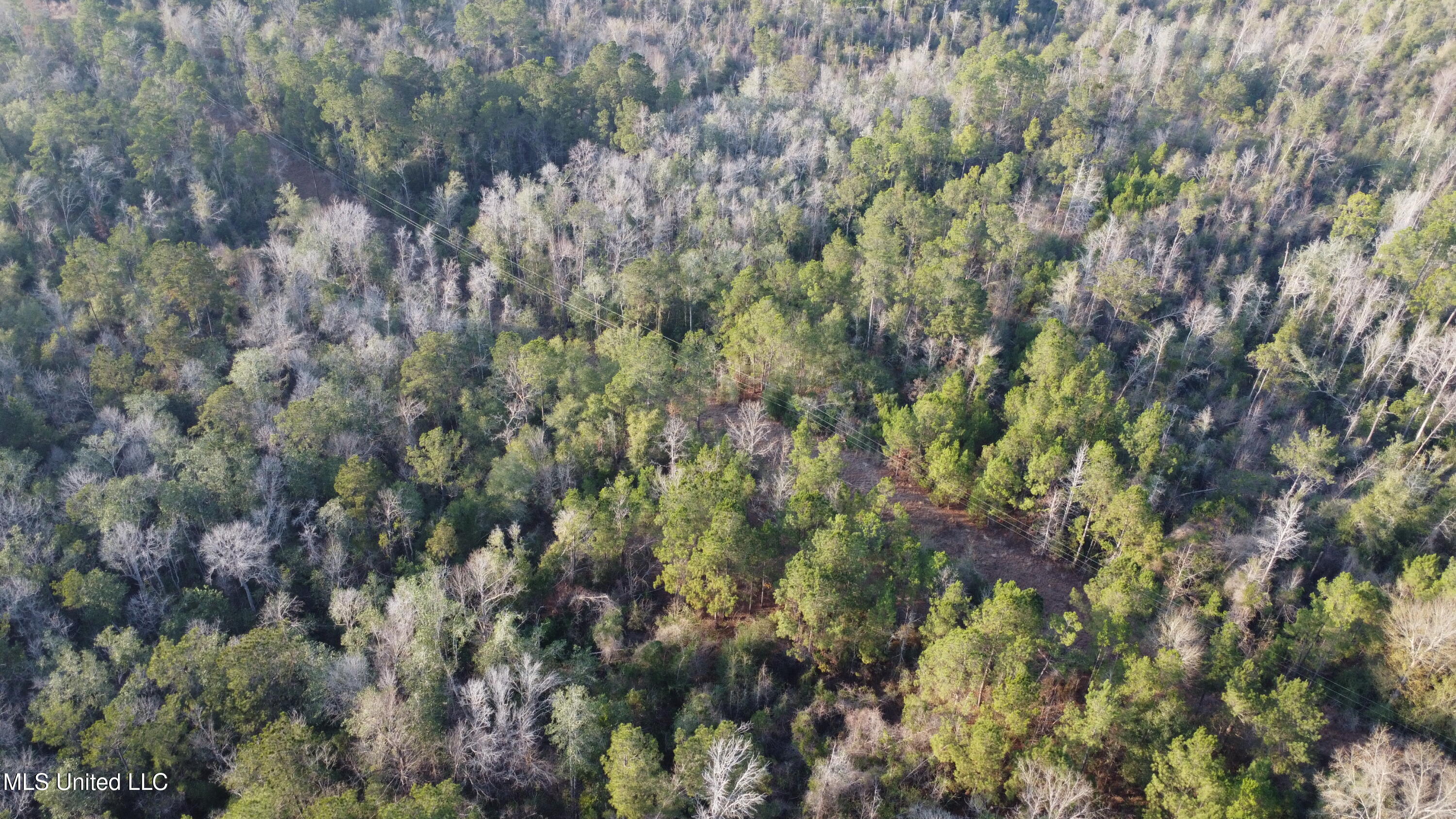 S County Line Road Property Photo 5
