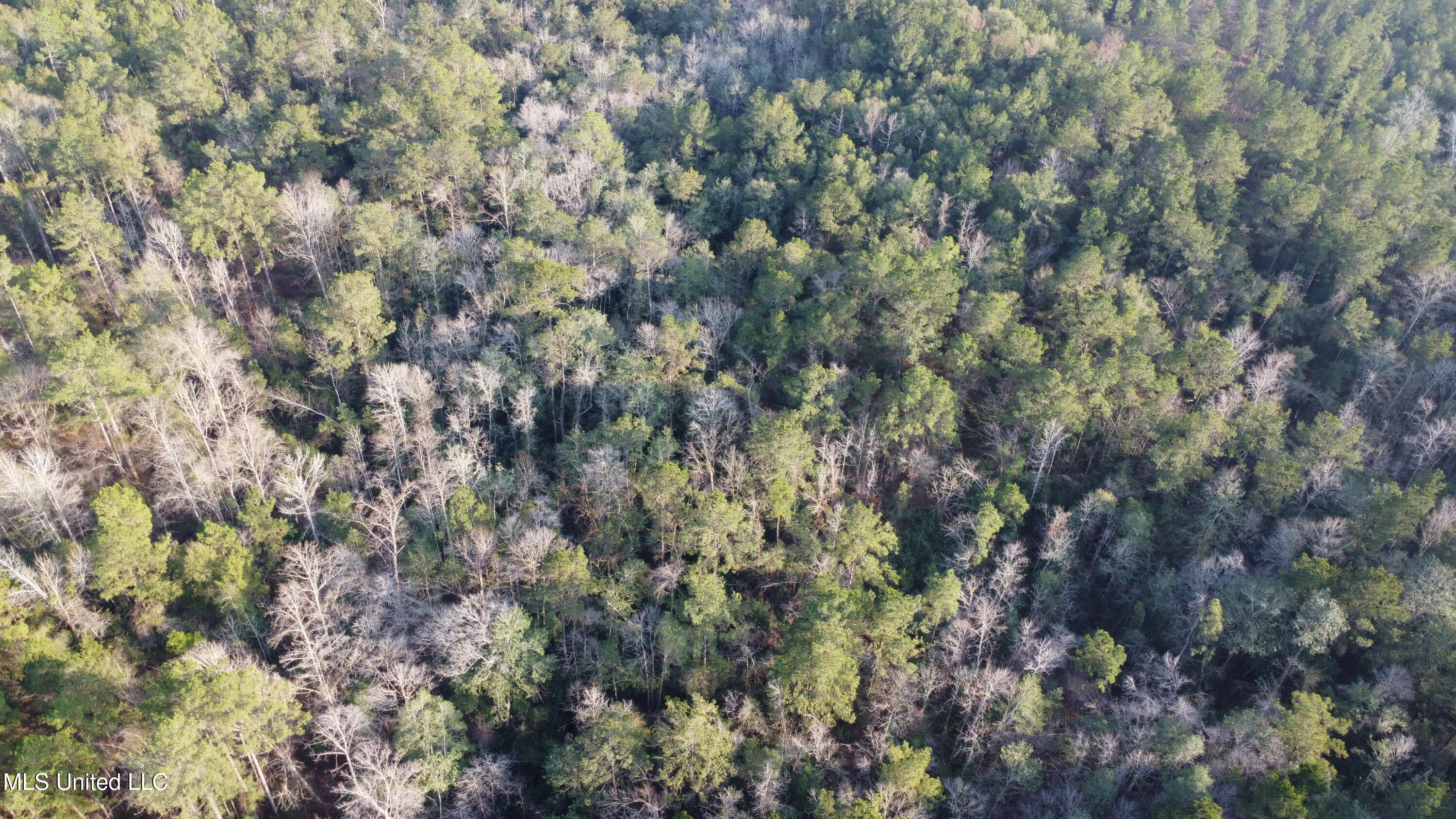 S County Line Road Property Photo 8
