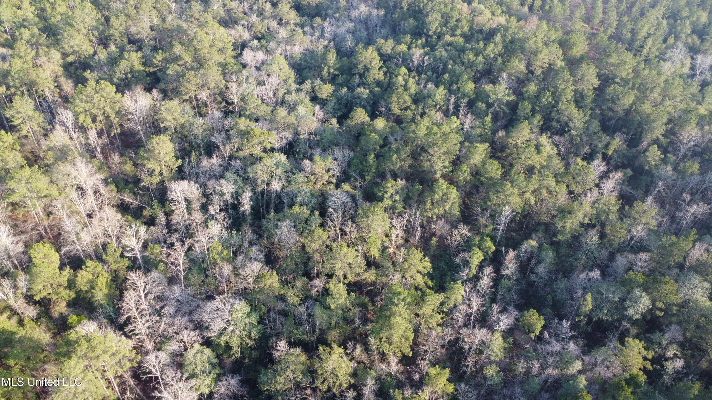 S County Line Road Property Photo 9