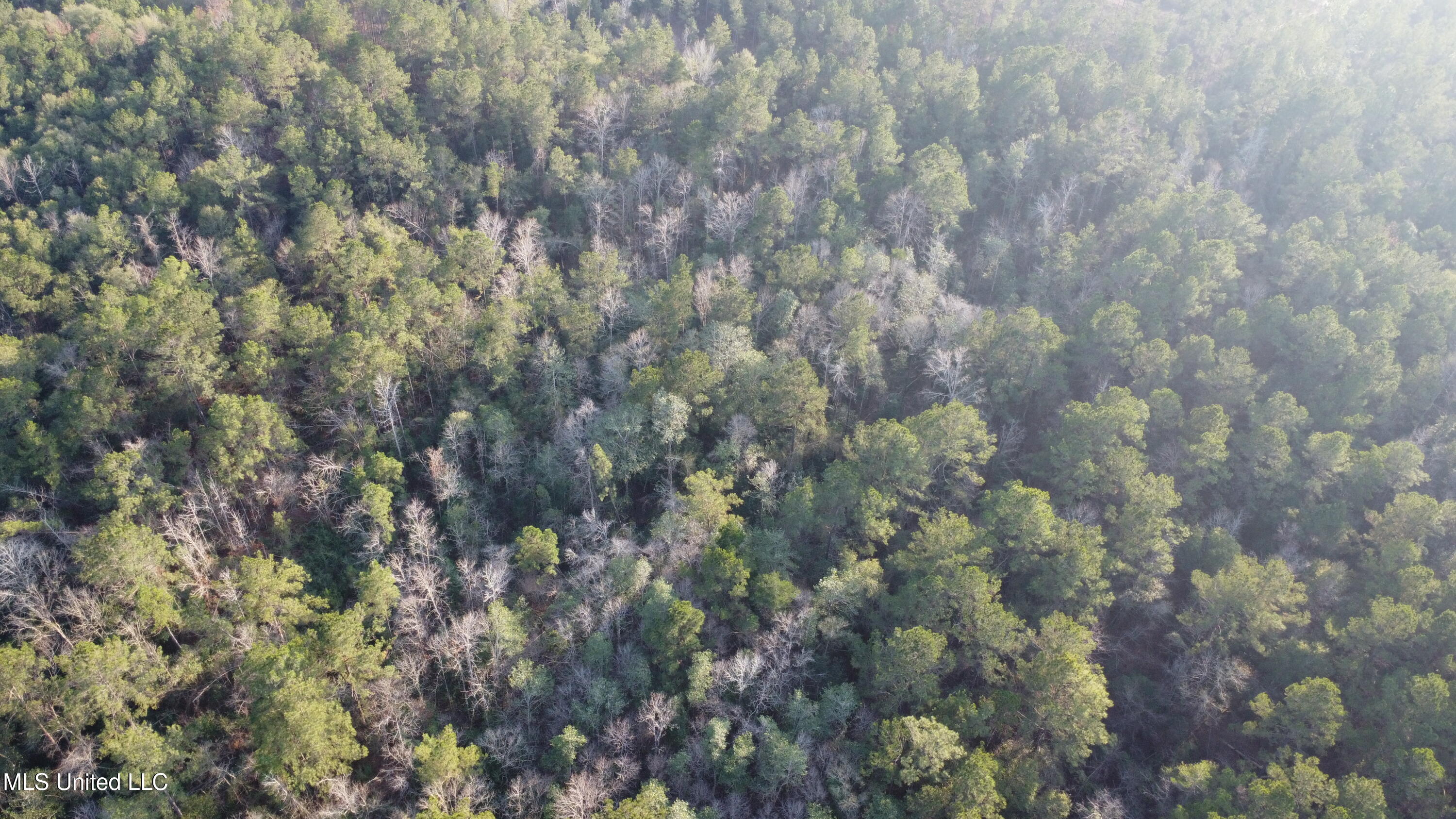 S County Line Road Property Photo 10