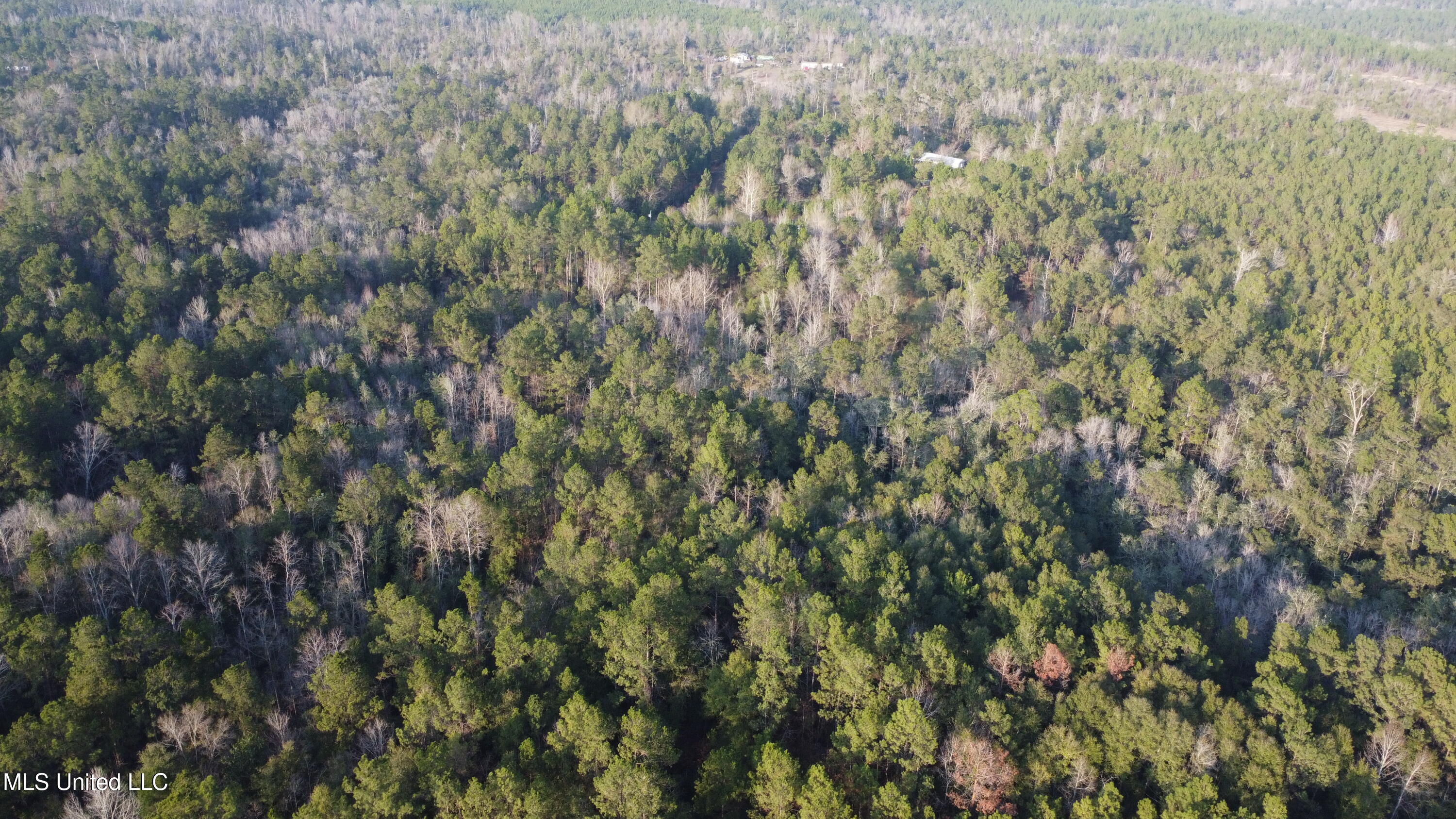 S County Line Road Property Photo 11