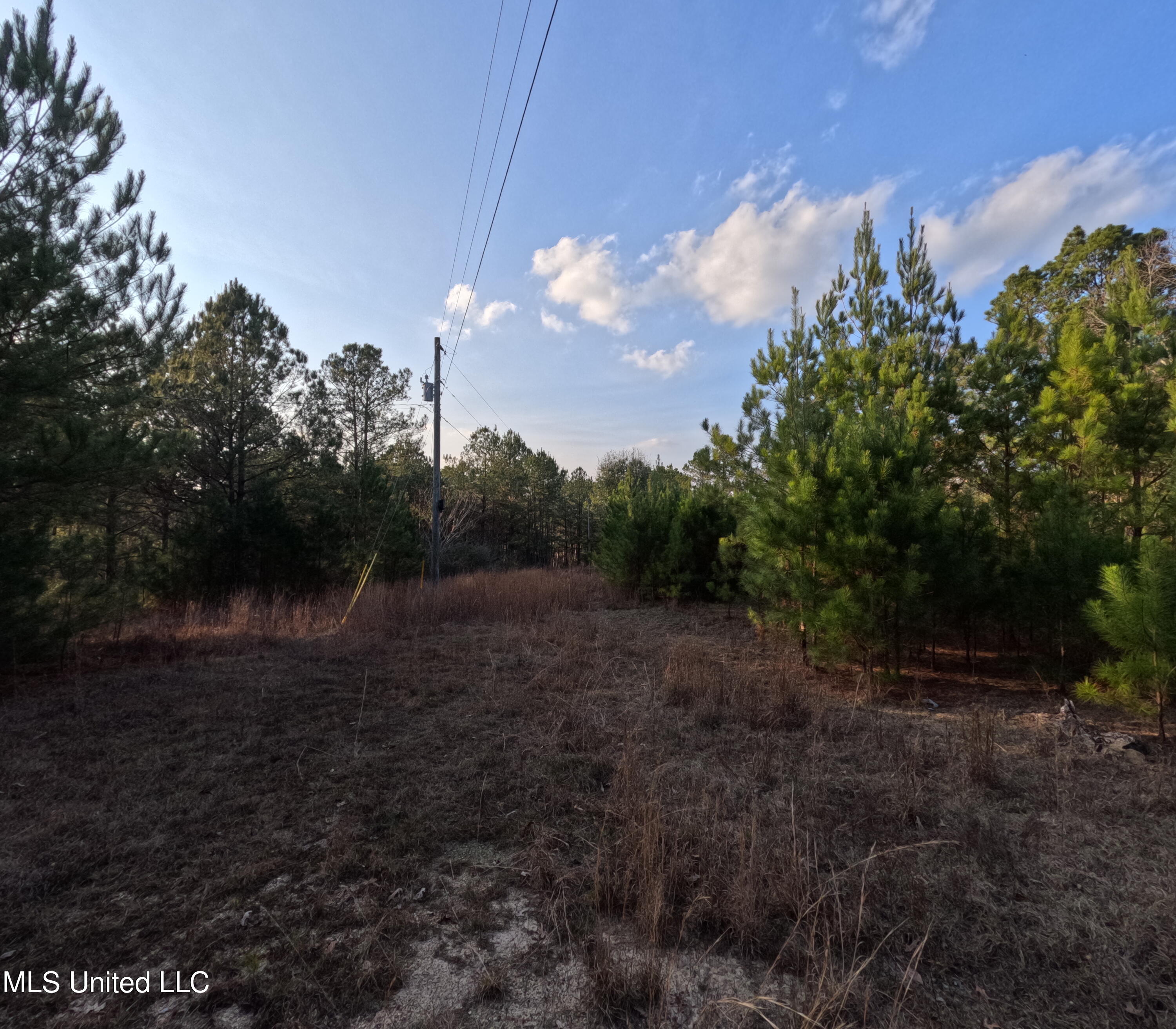 S County Line Road Property Photo 13