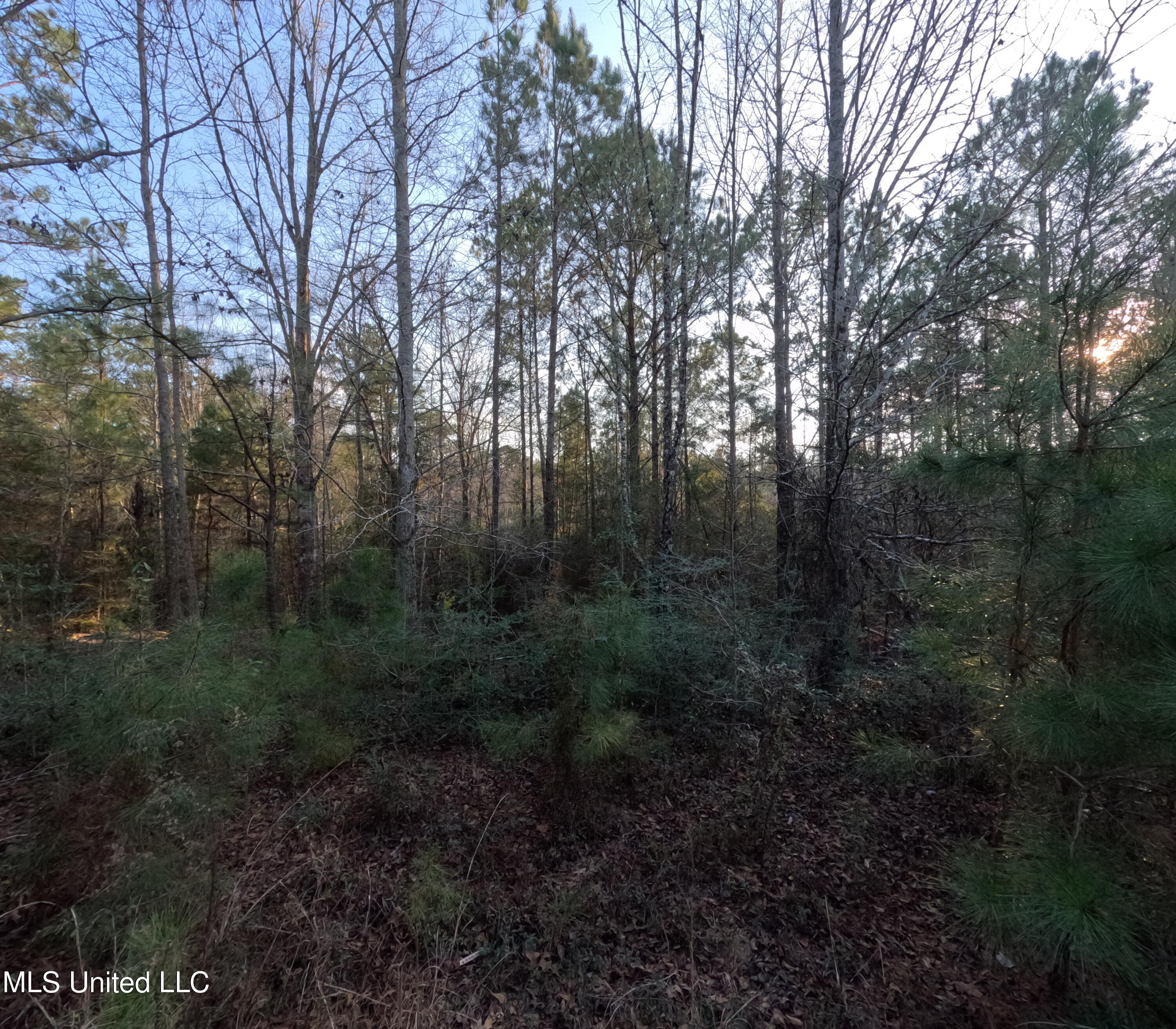 S County Line Road Property Photo 14