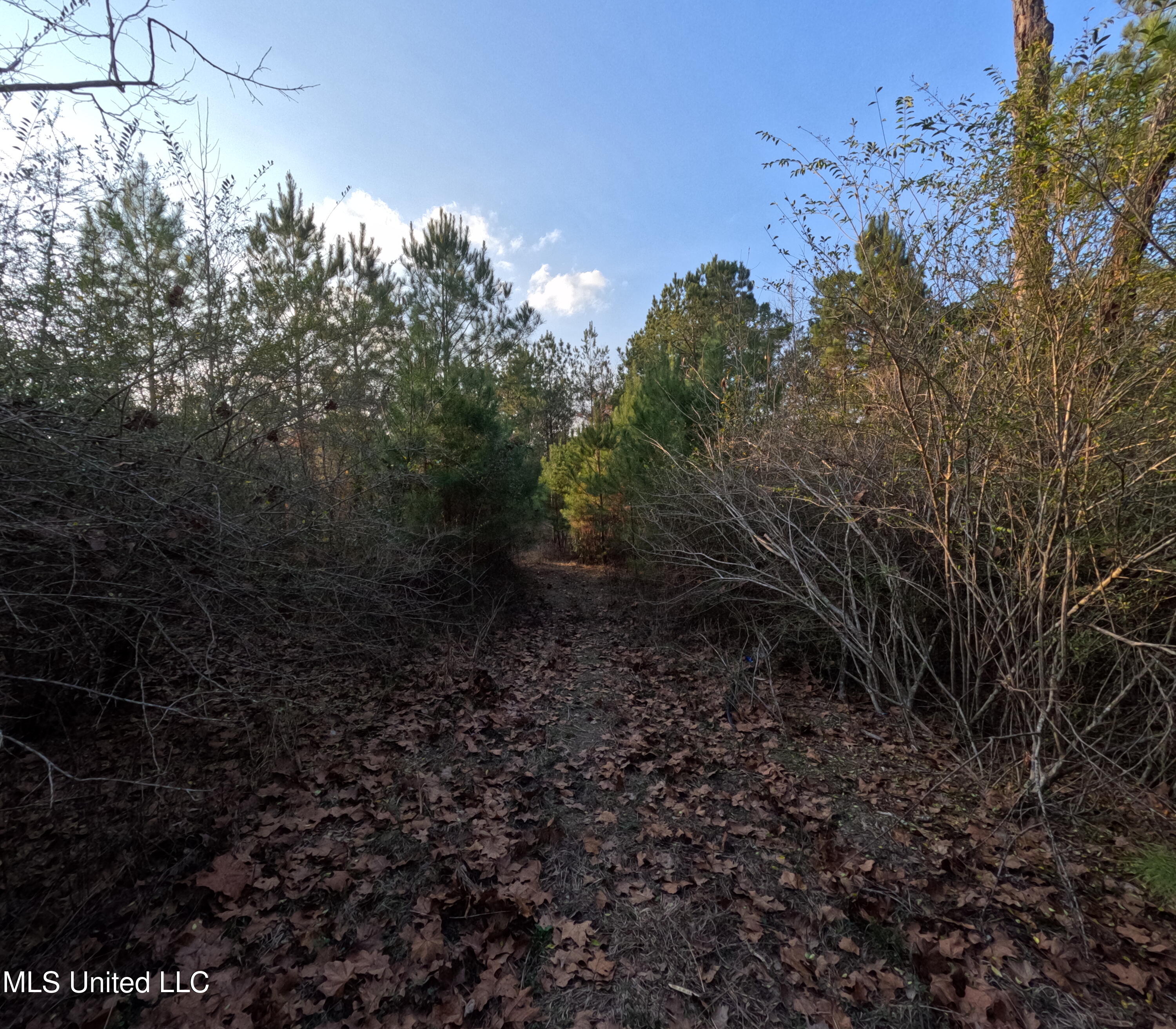 S County Line Road Property Photo 15
