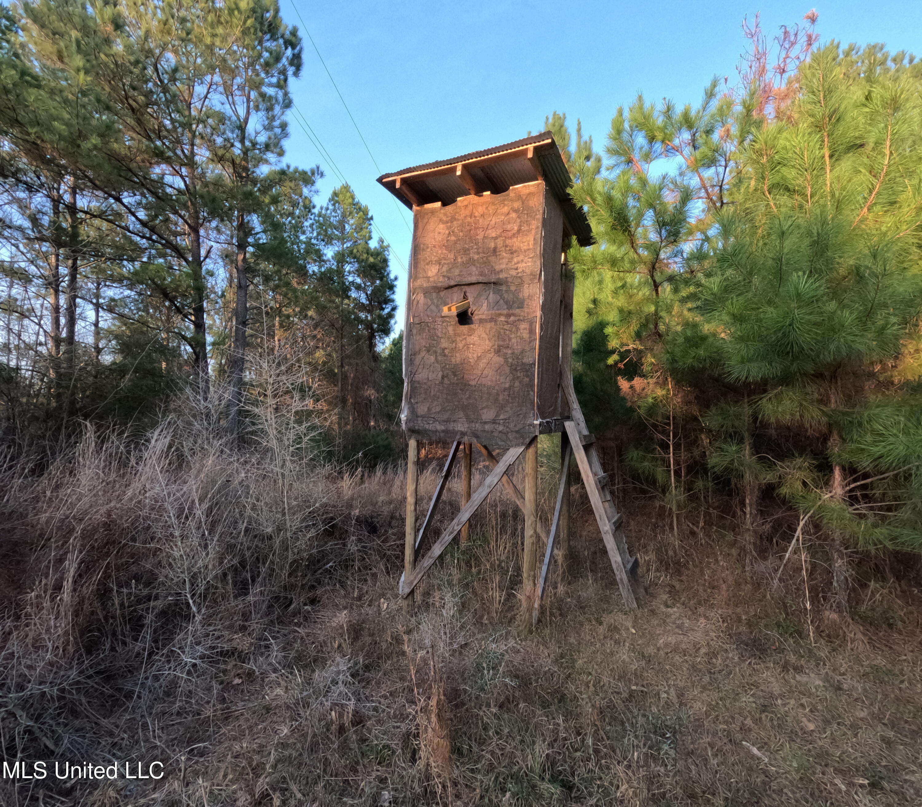 S County Line Road Property Photo 16