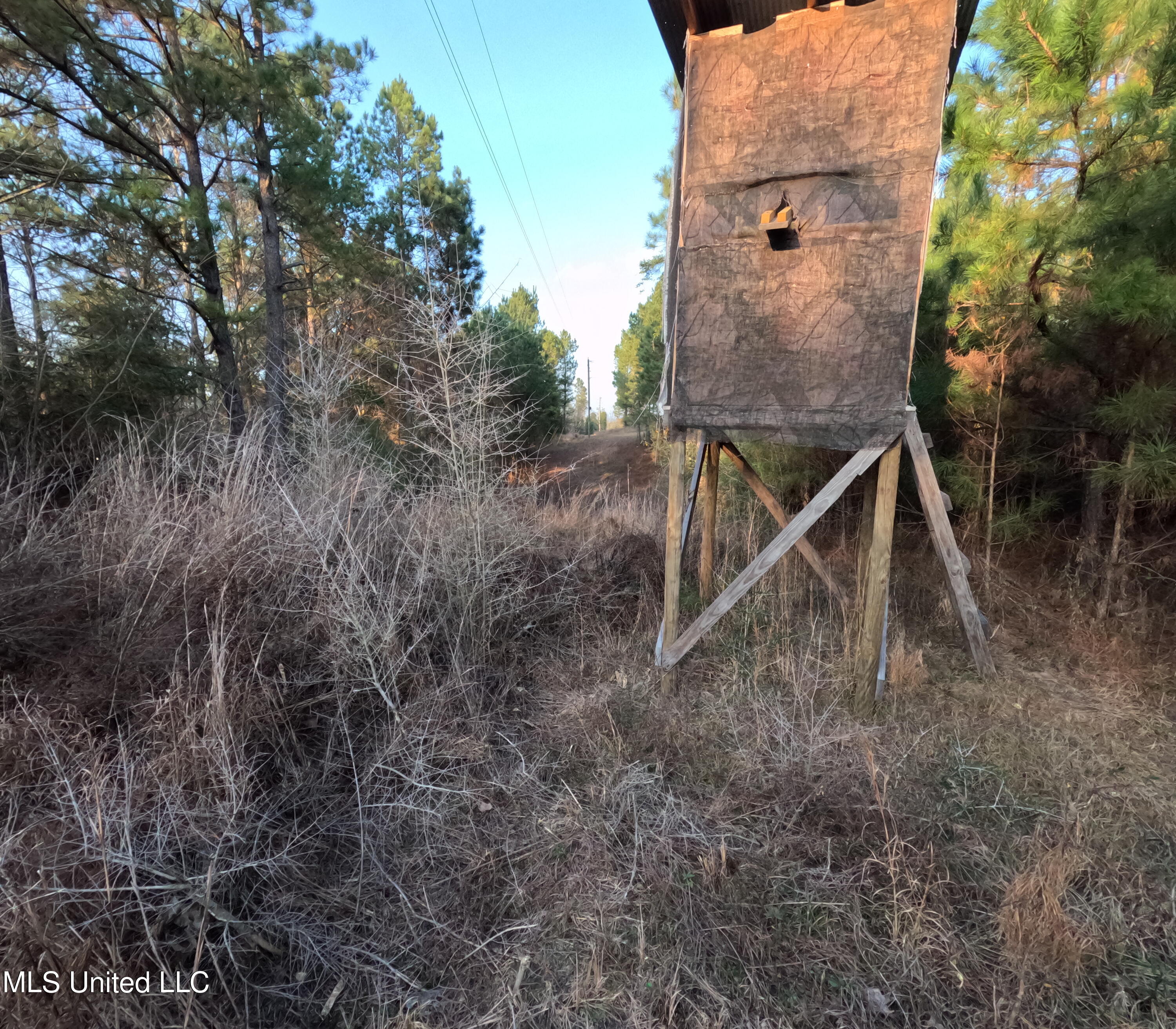 S County Line Road Property Photo 17
