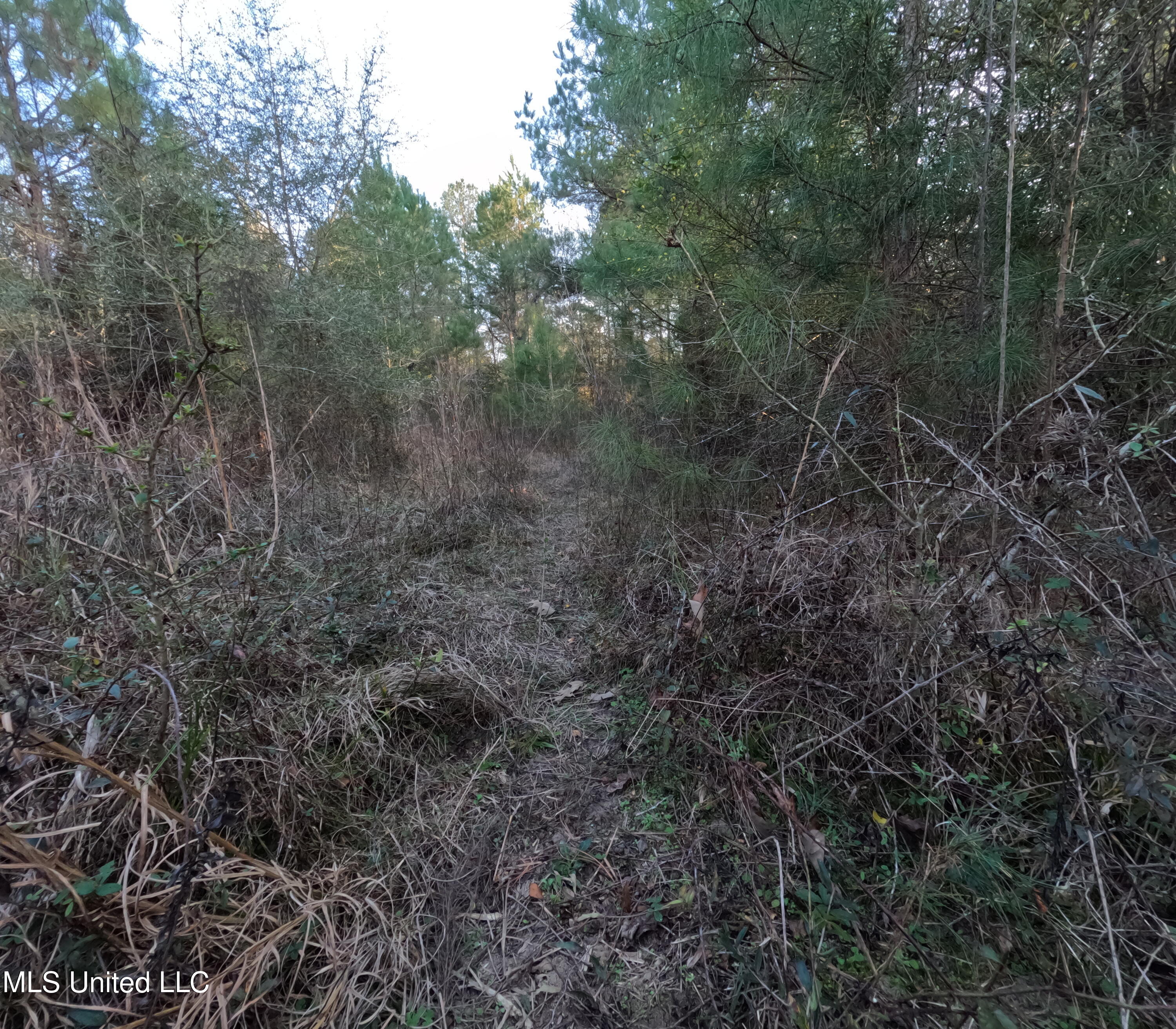 S County Line Road Property Photo 19