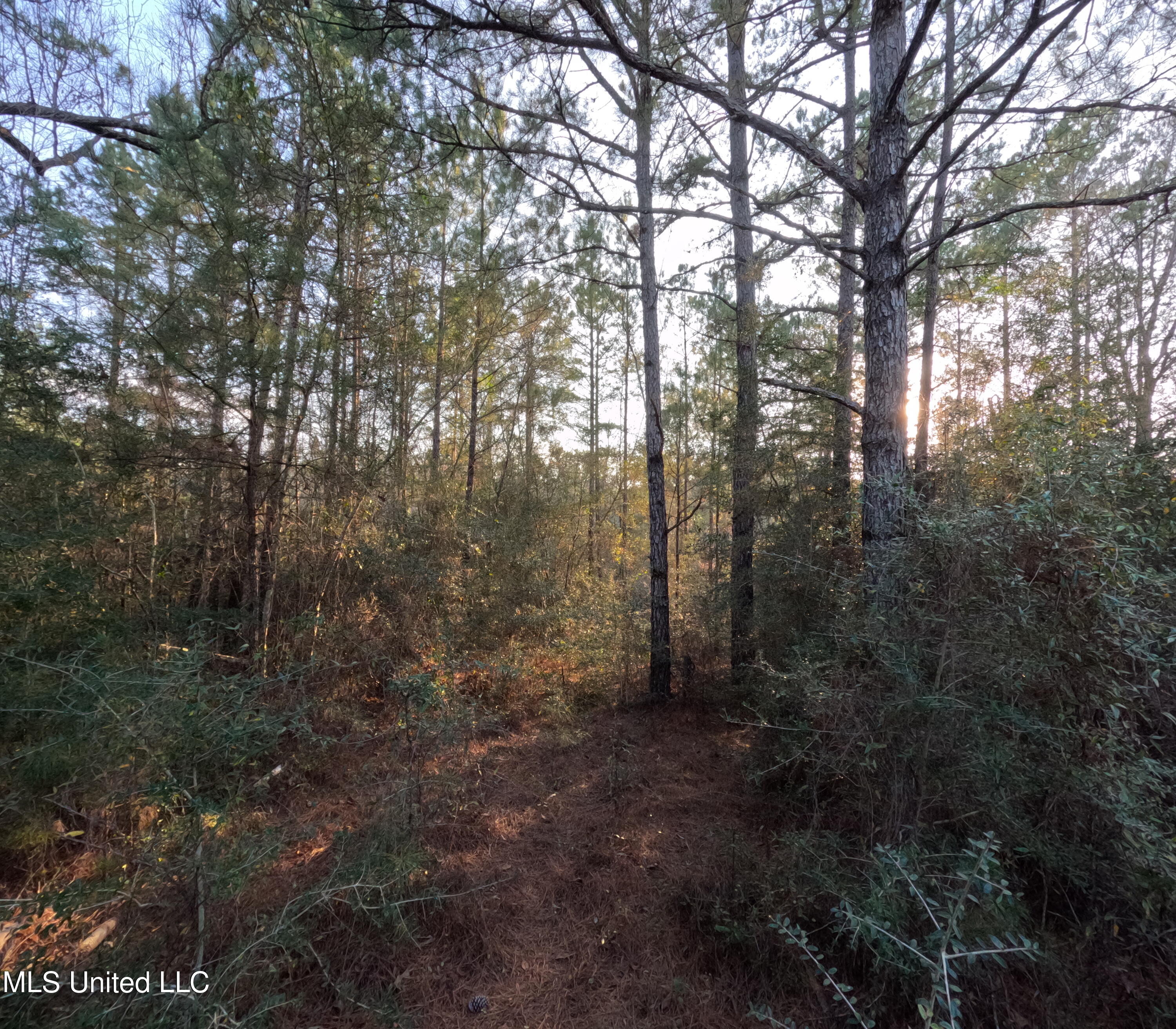 S County Line Road Property Photo 20