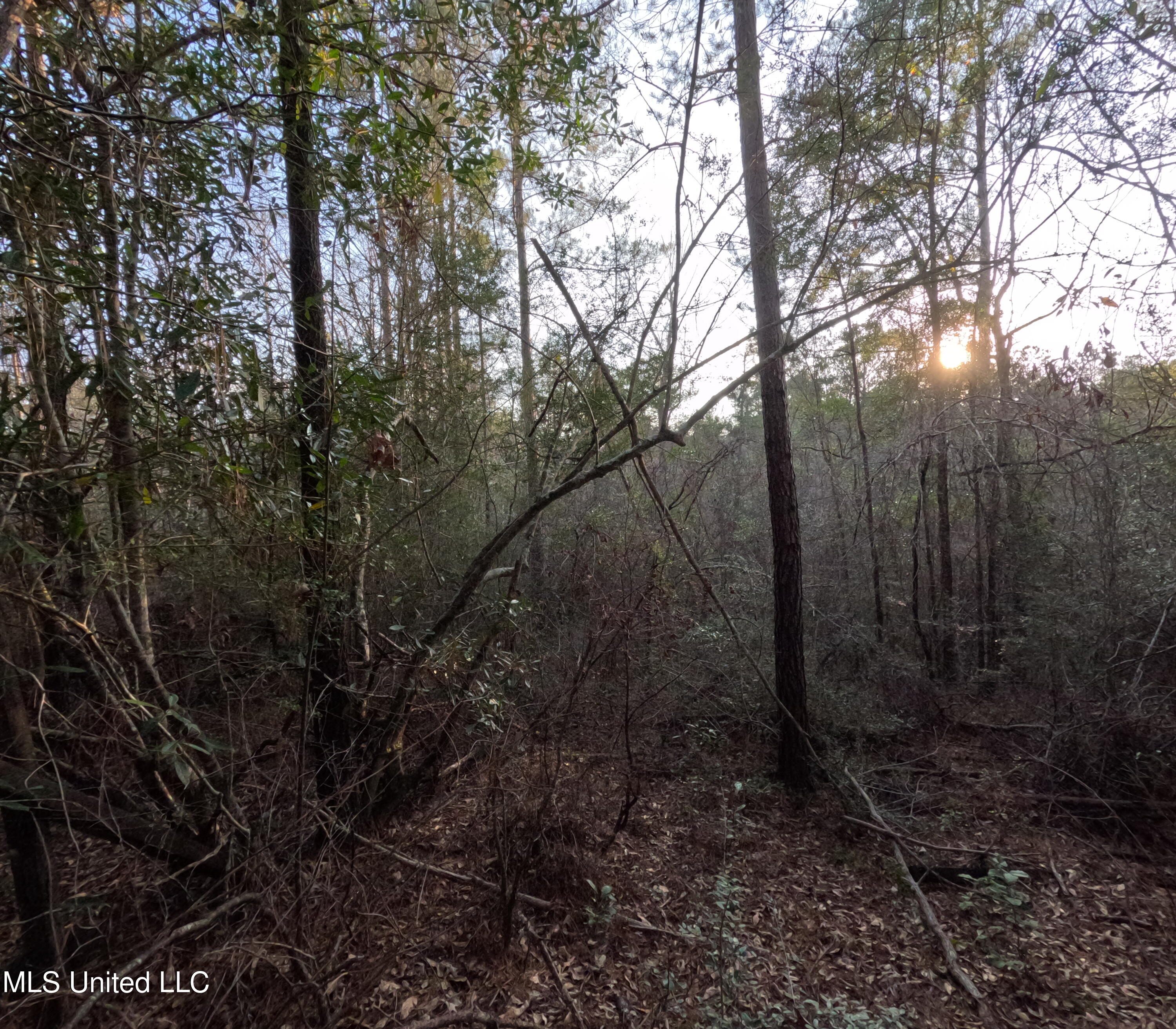 S County Line Road Property Photo 21
