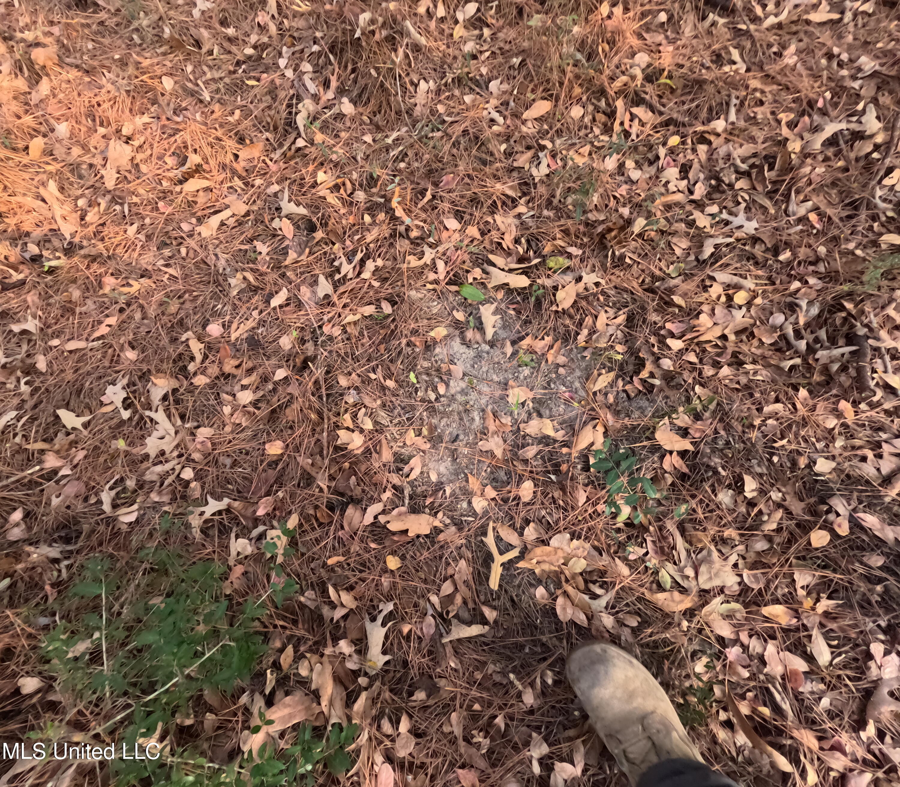 S County Line Road Property Photo 22