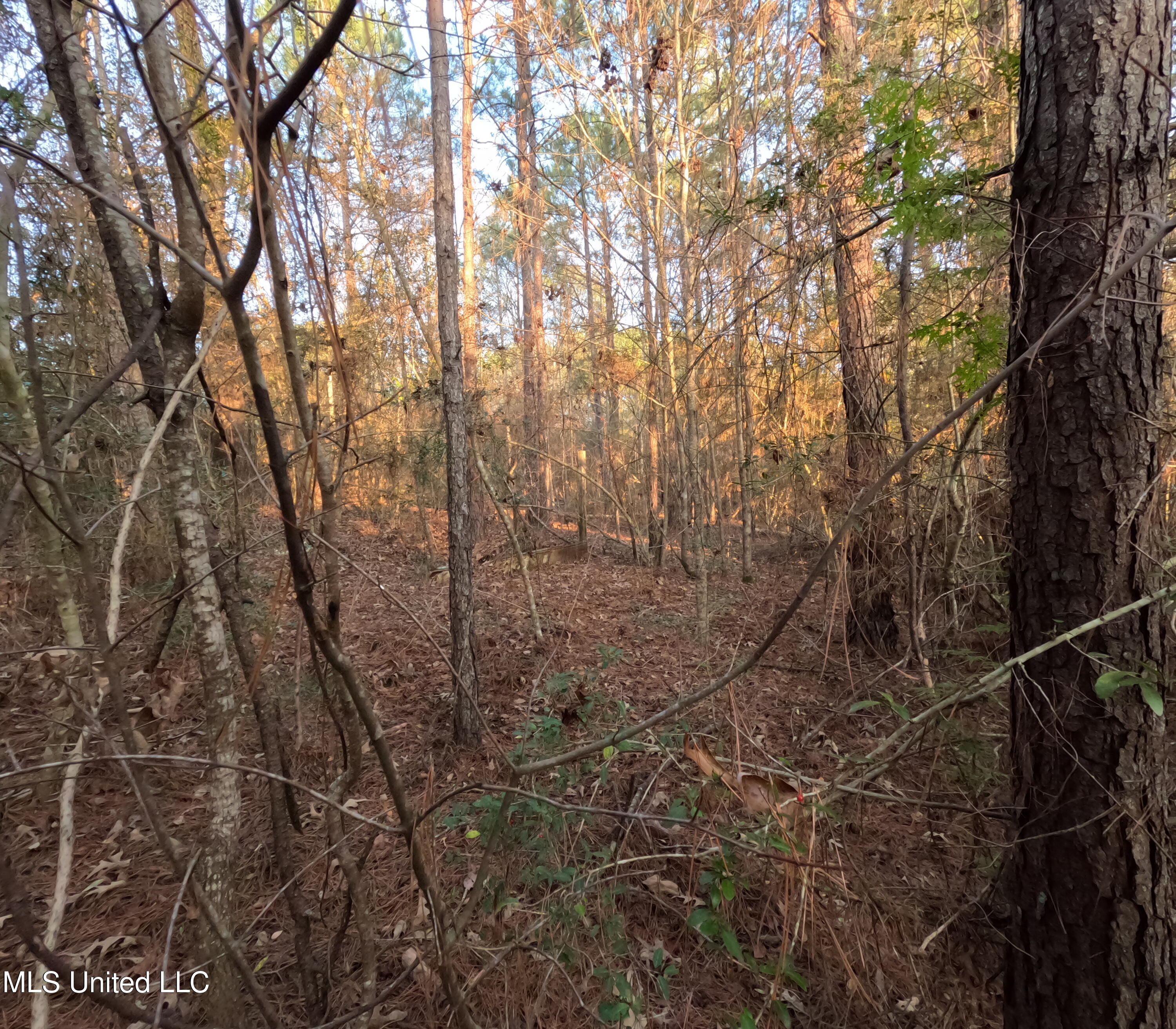 S County Line Road Property Photo 23
