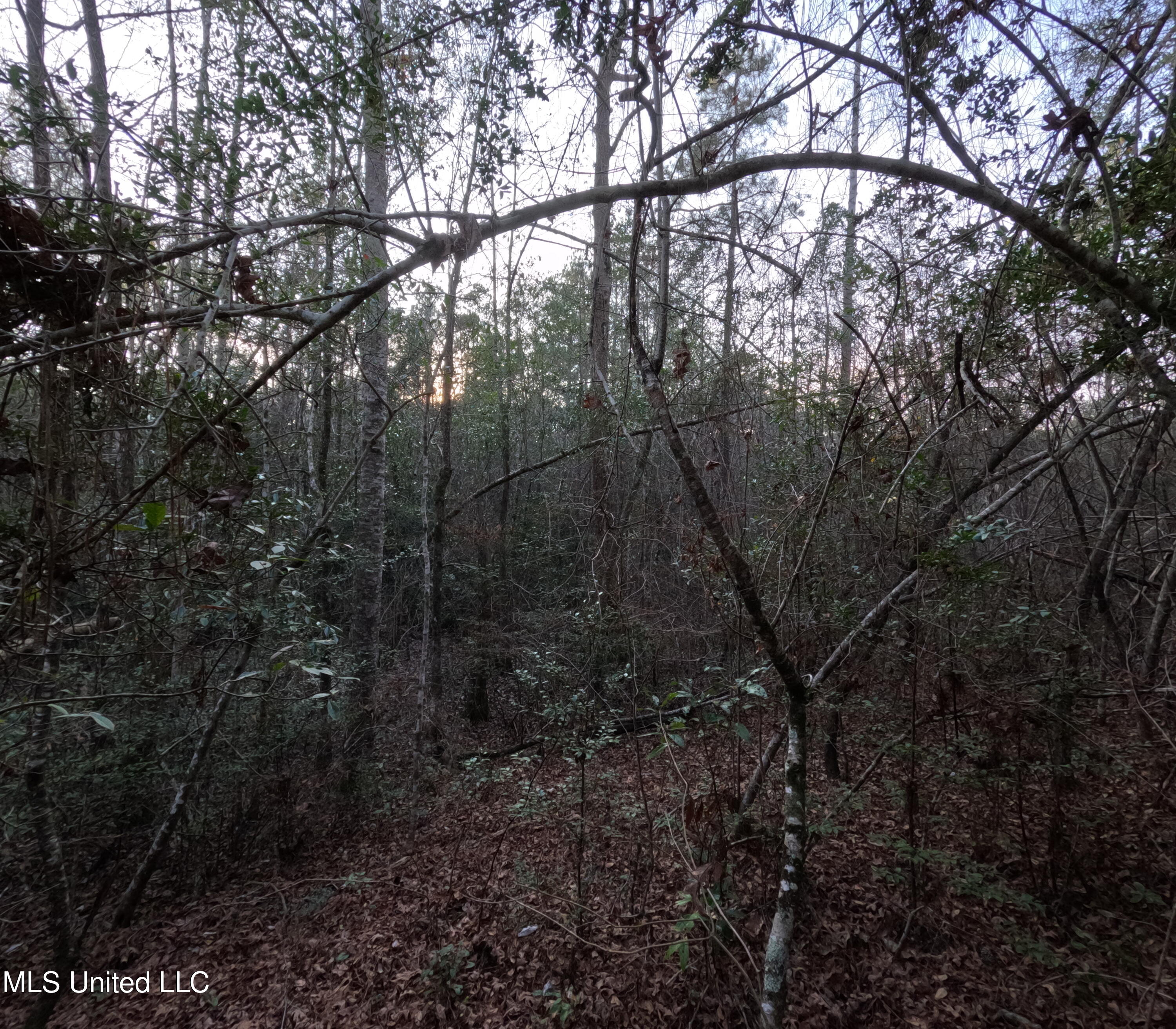 S County Line Road Property Photo 24