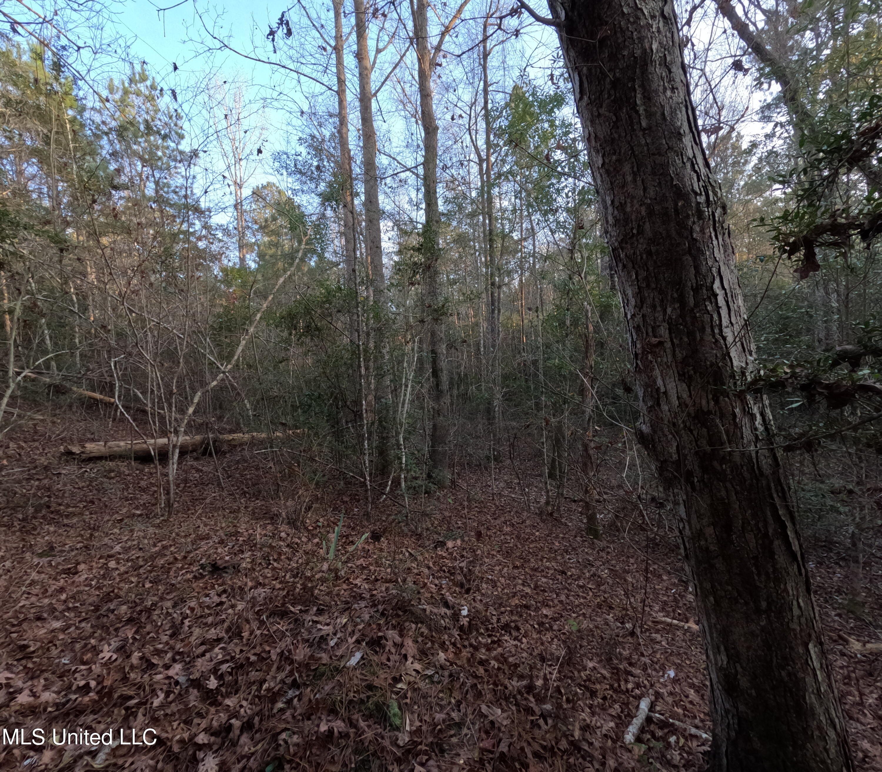 S County Line Road Property Photo 25